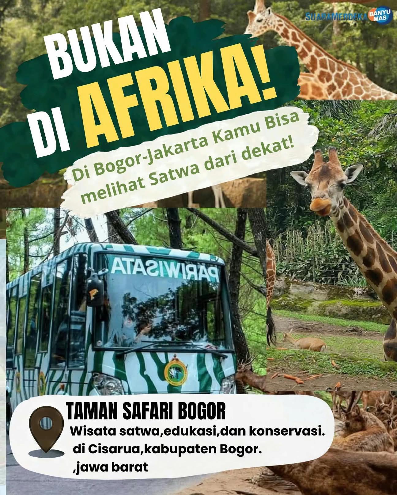 @Suara Merdeka