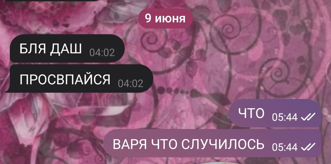 @🐰