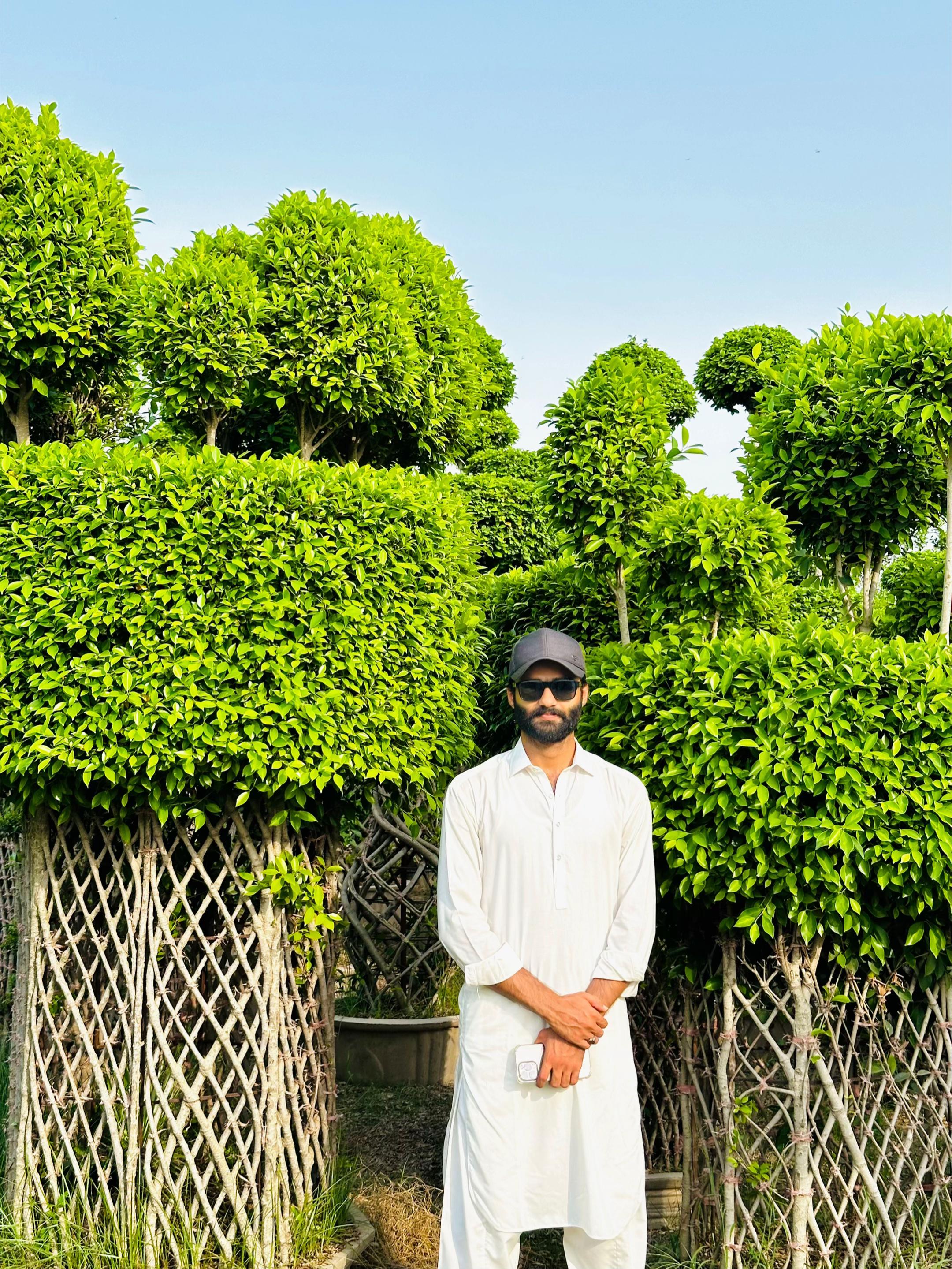 @Sardar Ijaz Ul Hassan Arain
