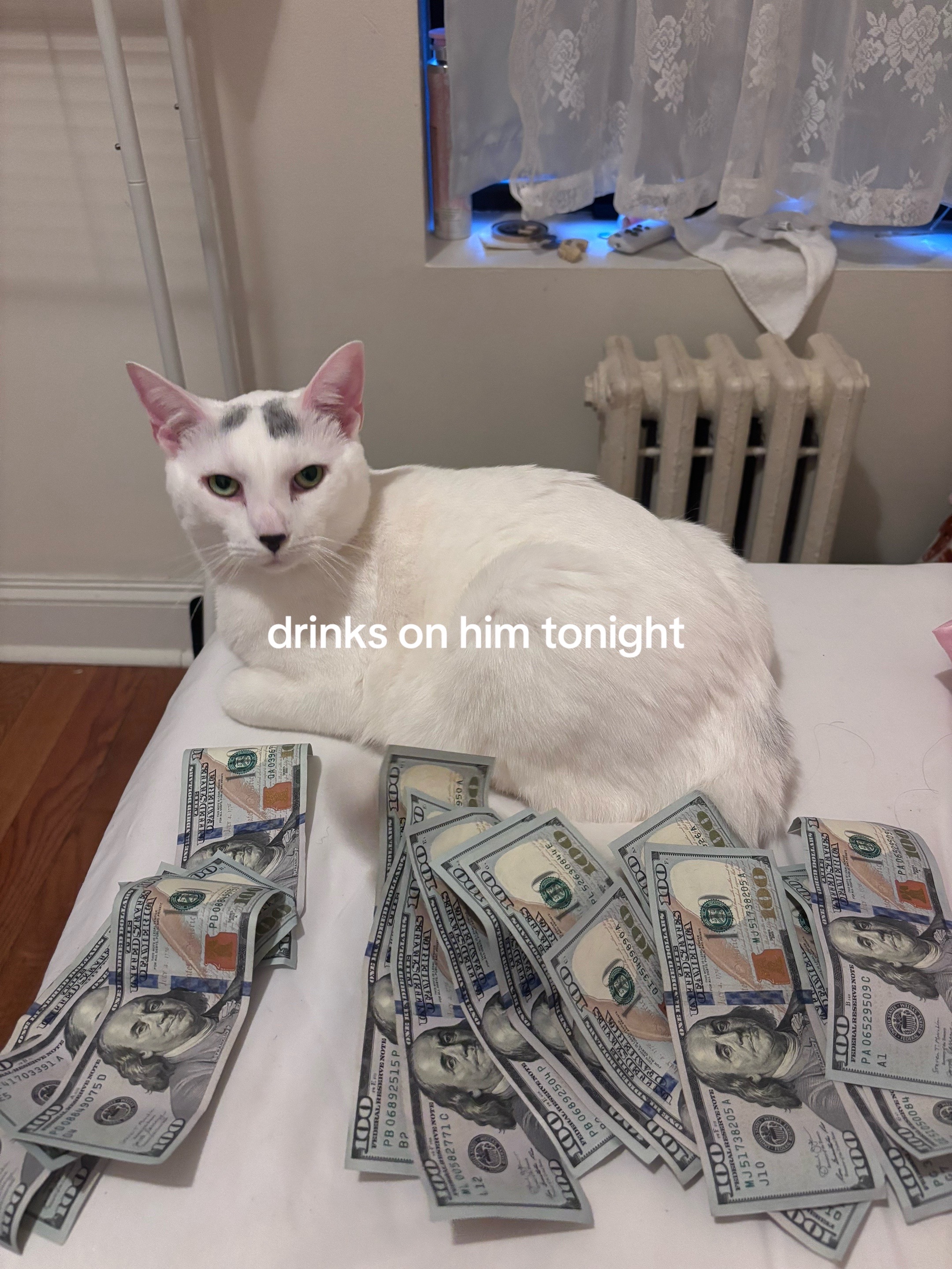 @barbiegotstackz