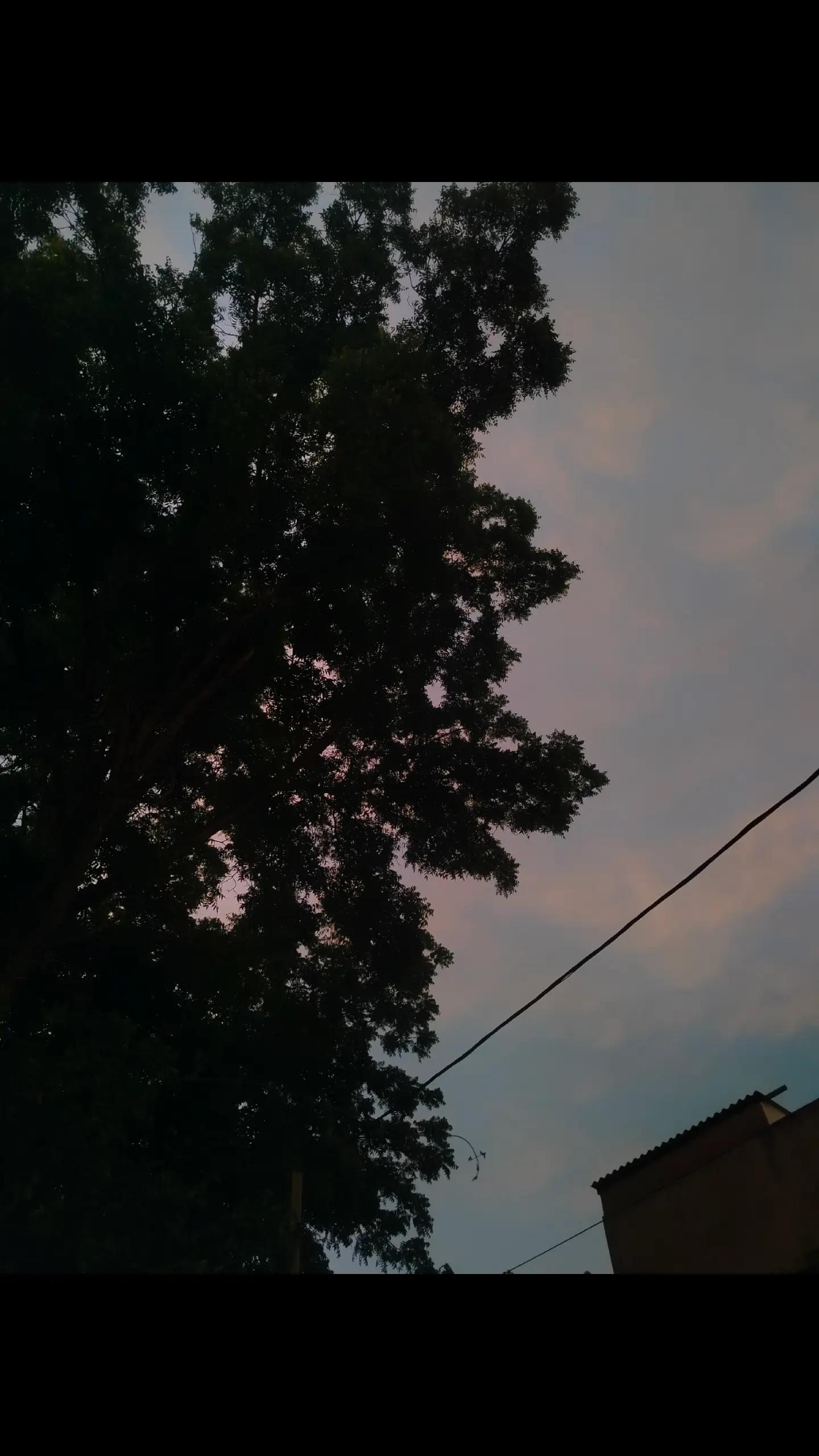 @sami