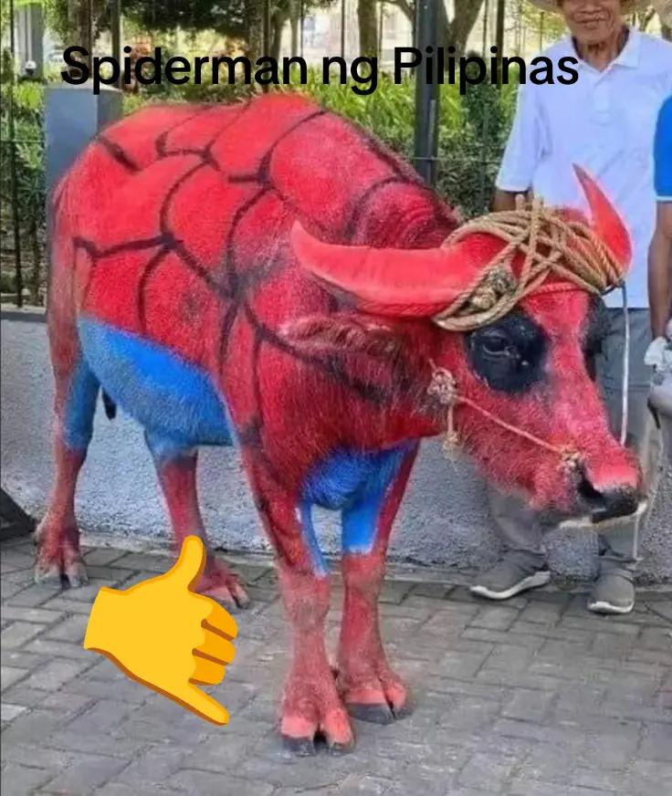 @ᴋᴏᴊɪʀᴏ