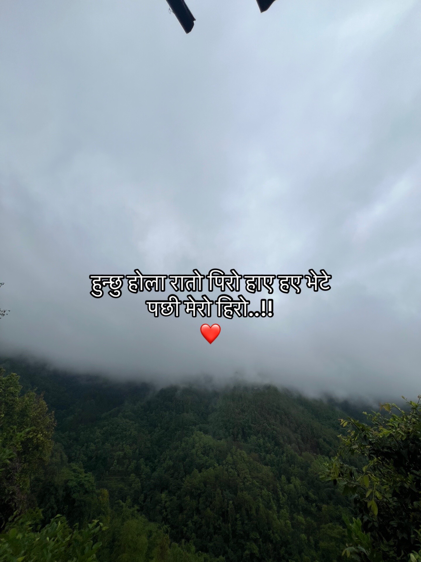 @ROSHAANNN