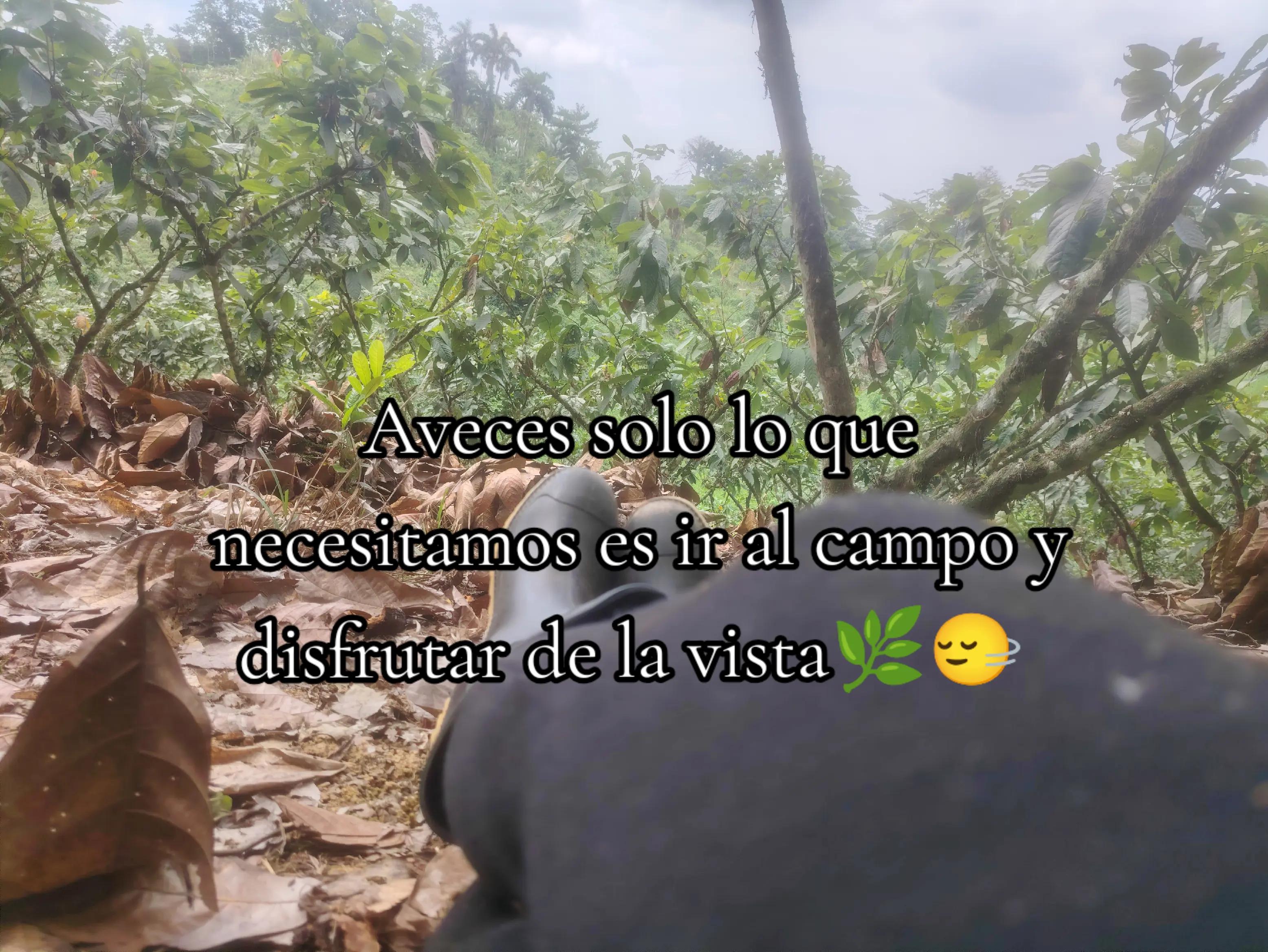 @🦋🌻