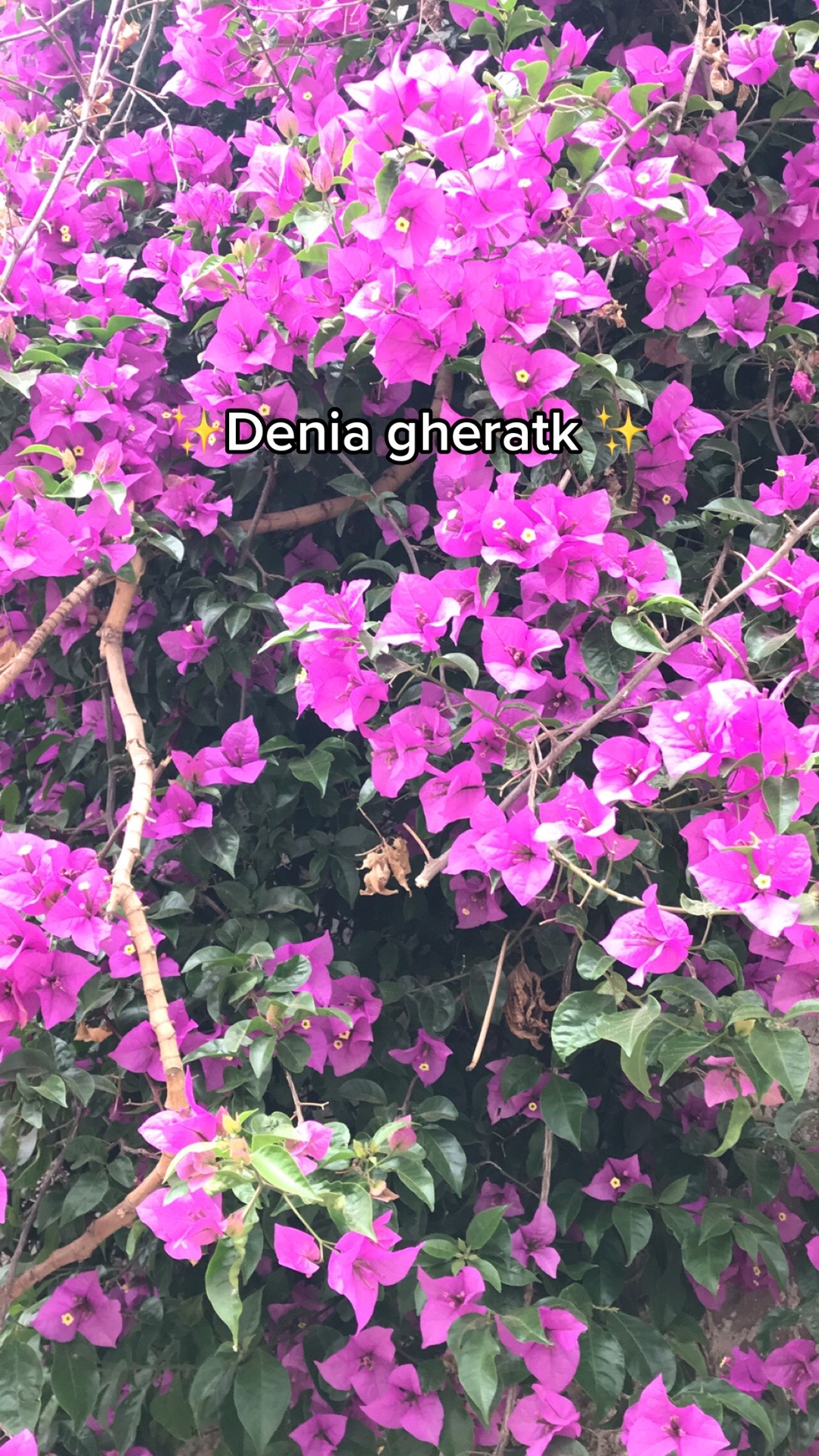 @✨💛