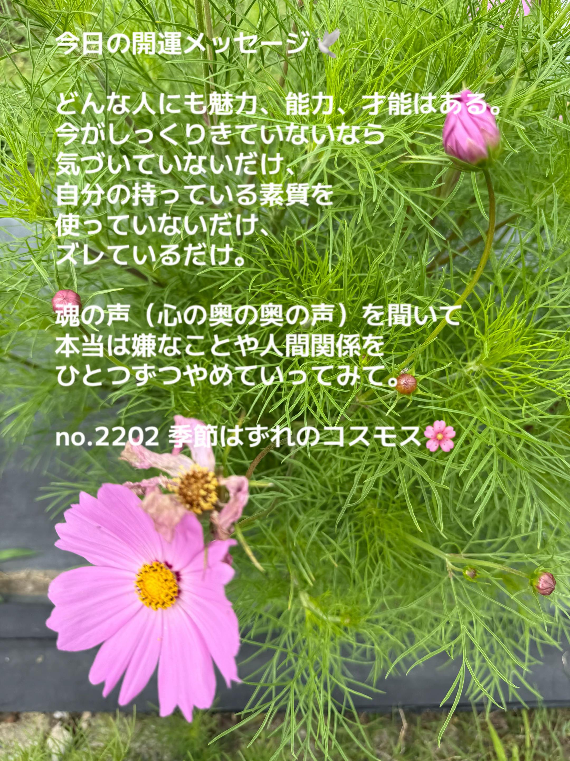 @あま姐さん💎人生まるごと再構築プロデューサー