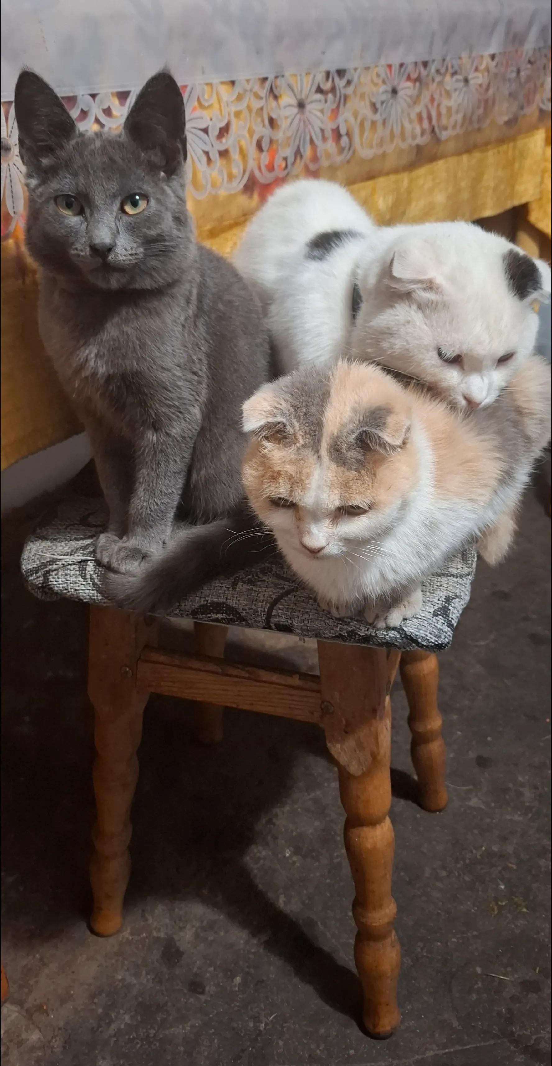 @Іришка