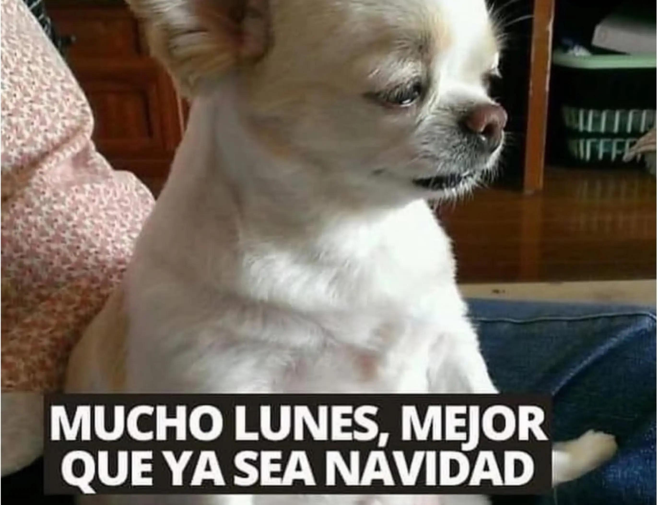 @DannMtz