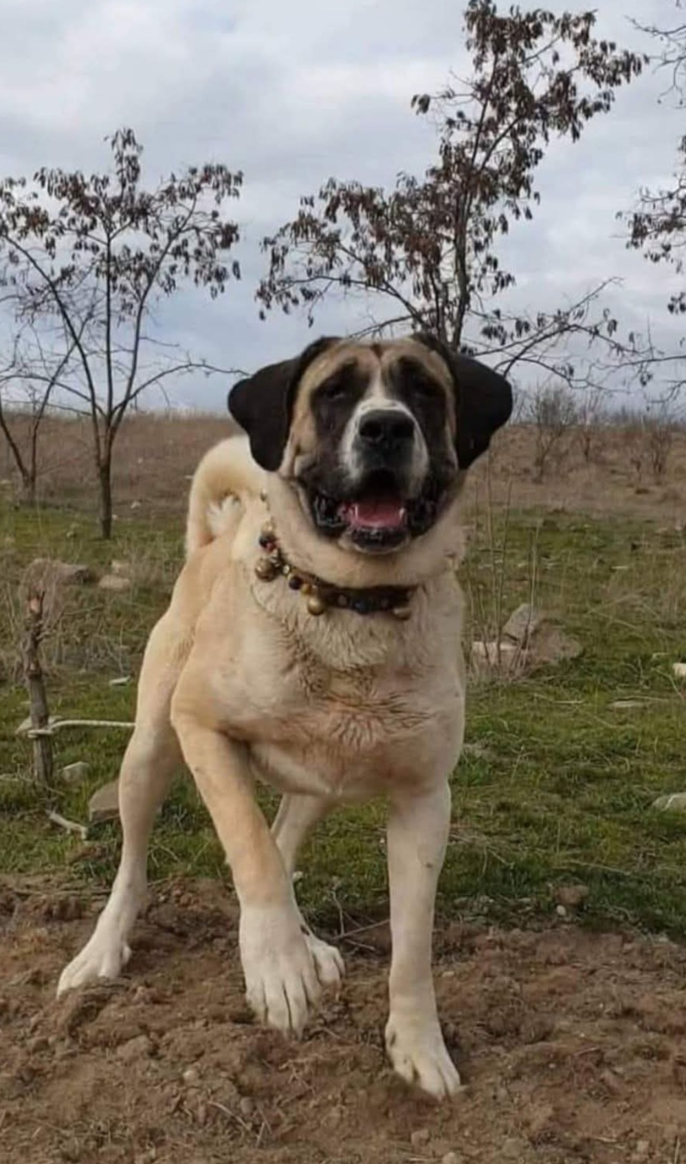 @🦋🇹🇷mrt__06🇹🇷🦋