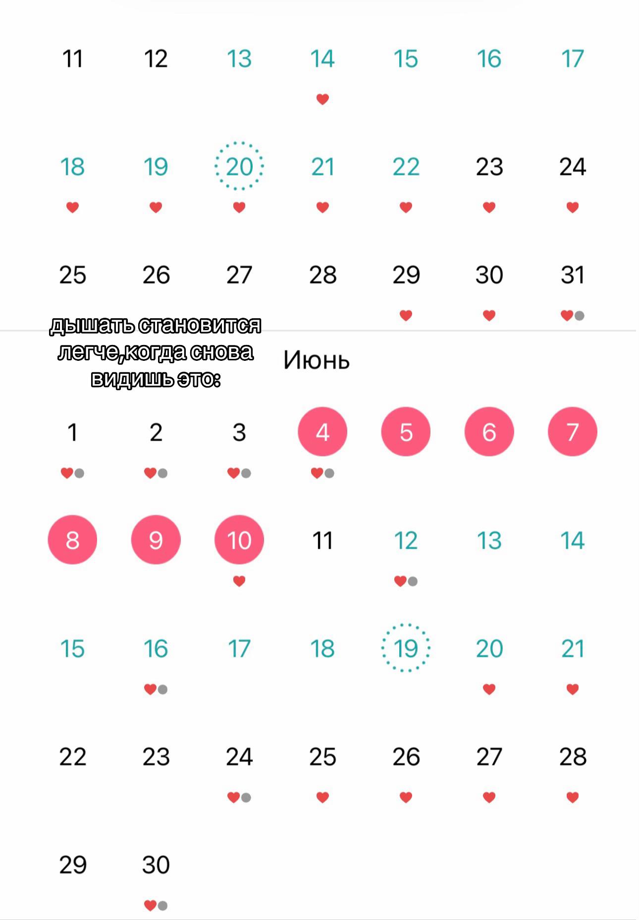 @Покемон🐥