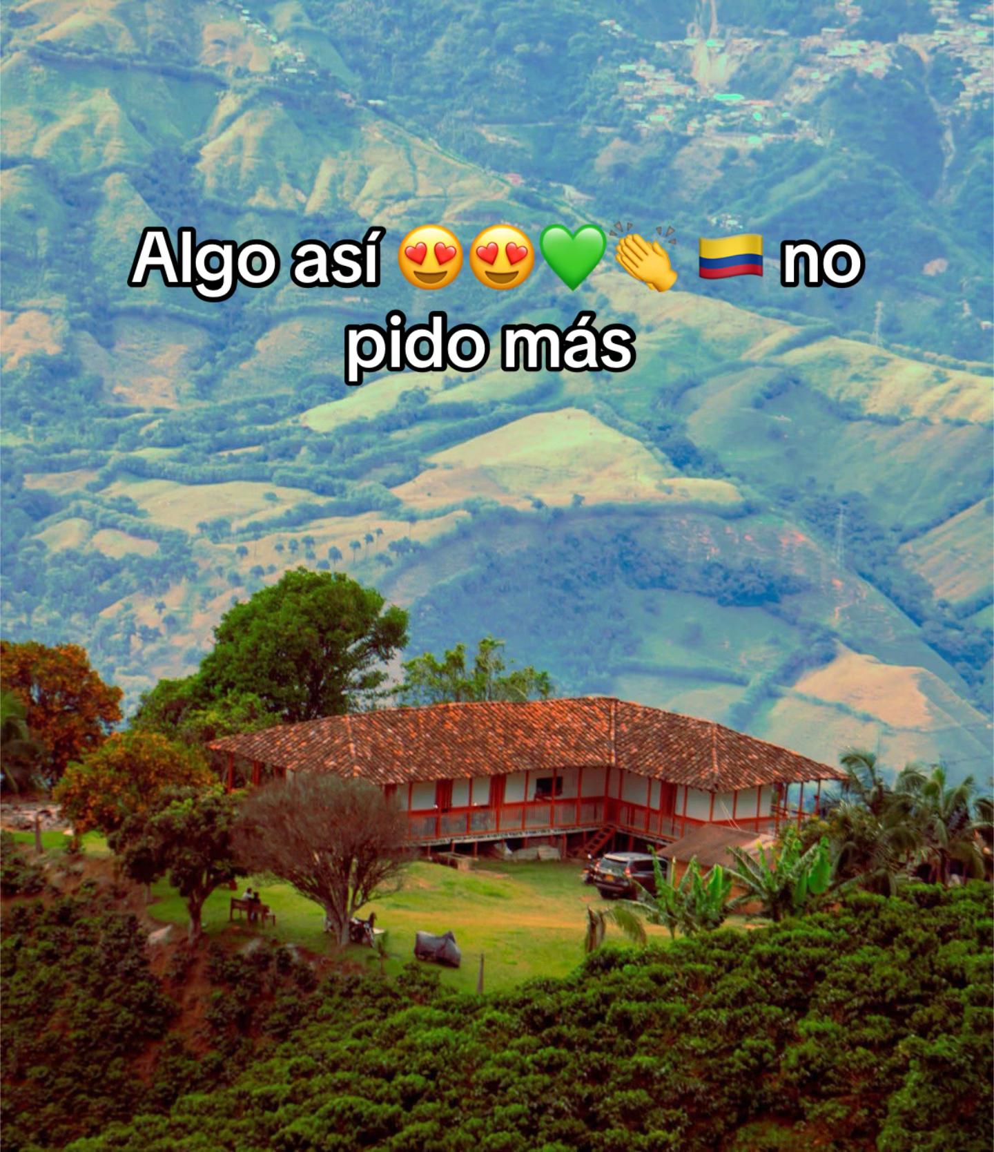 @Juliana Montenegro