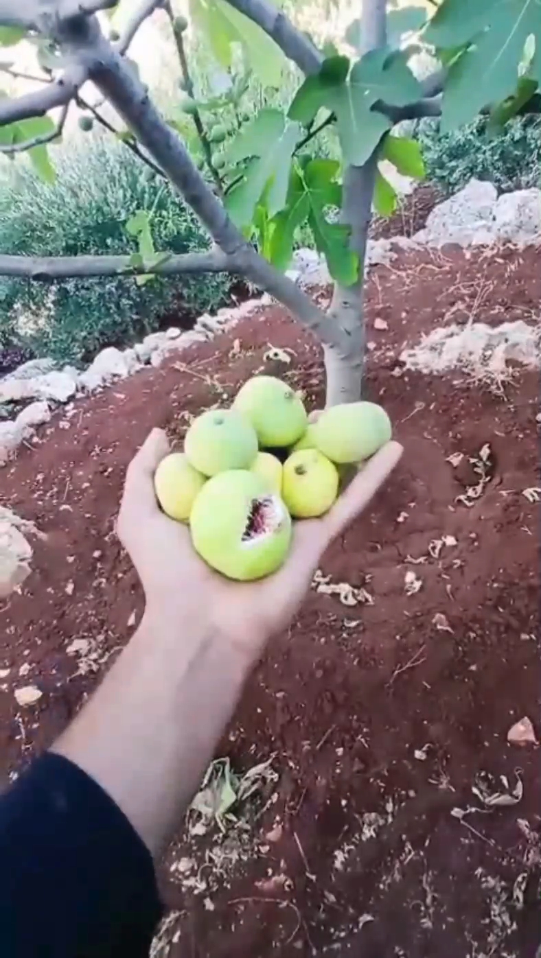 @〰️آاب عــ✎͜͡𝄠ـلاء🆕