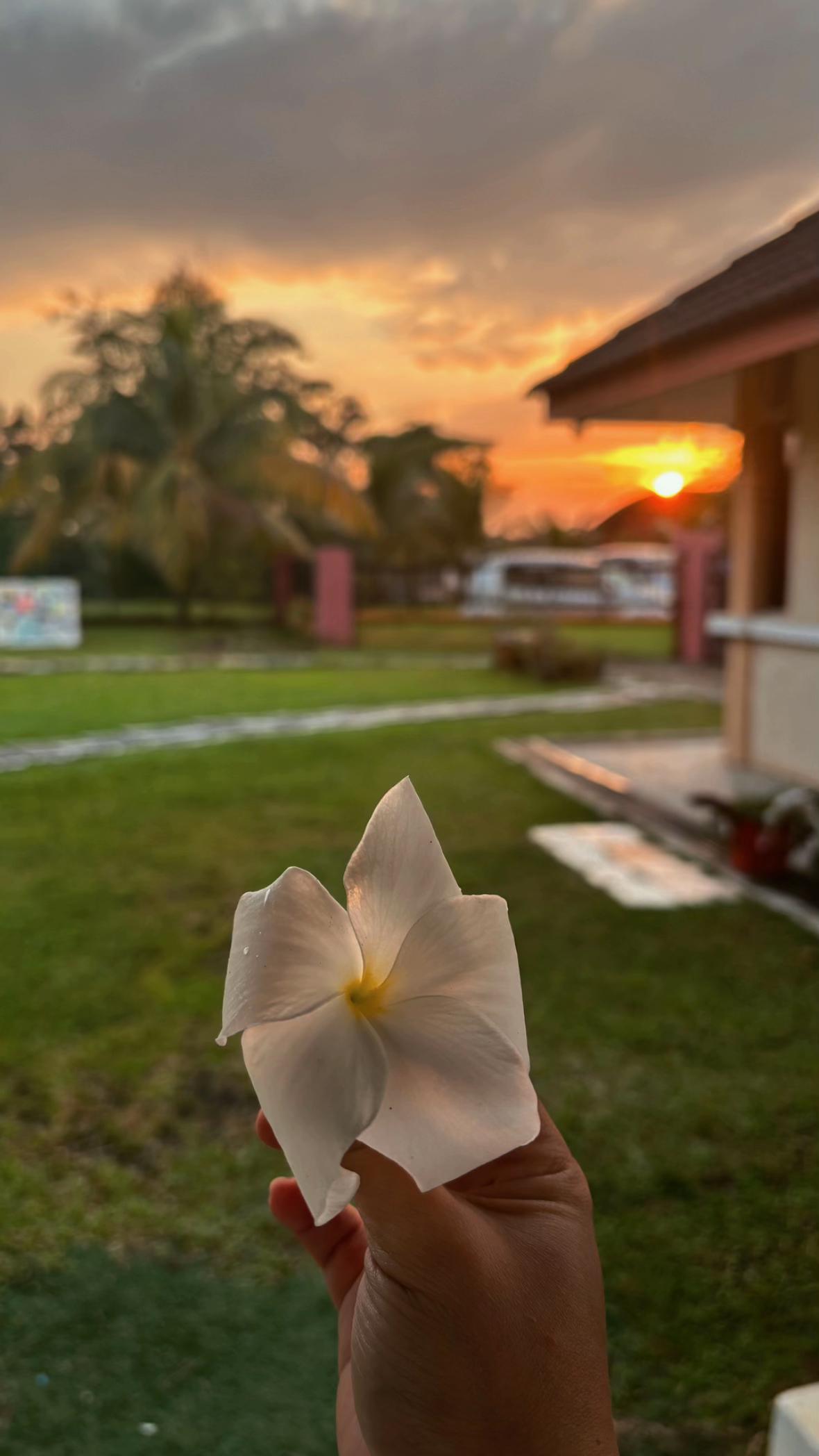 @✿ ❥