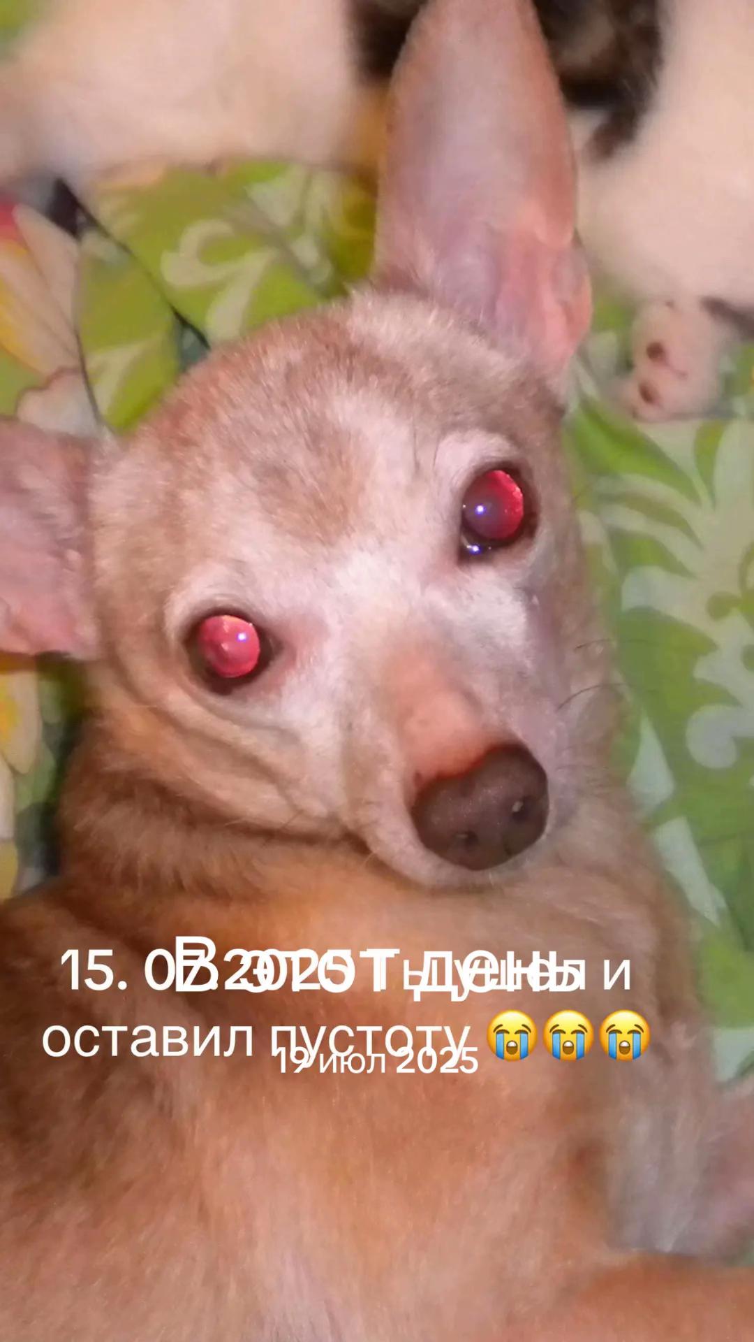 @Сибирочка