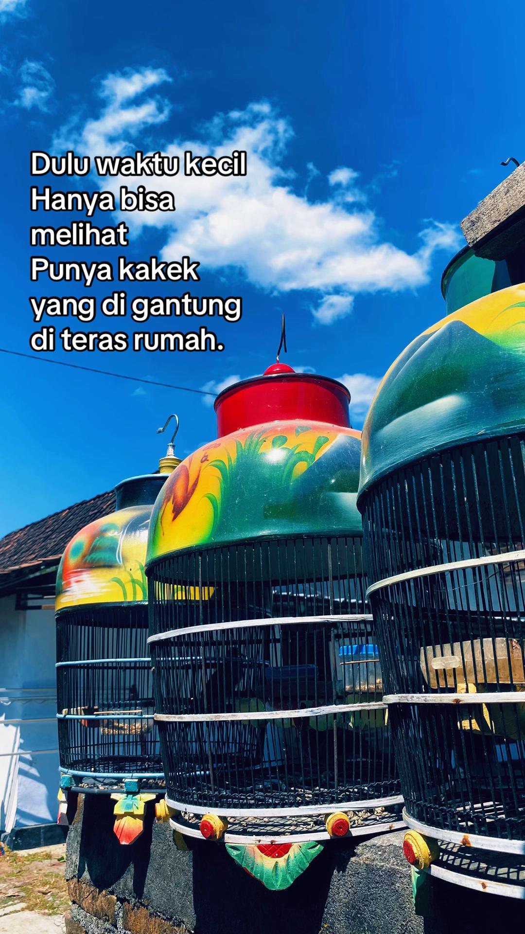 @ceguk stcershop