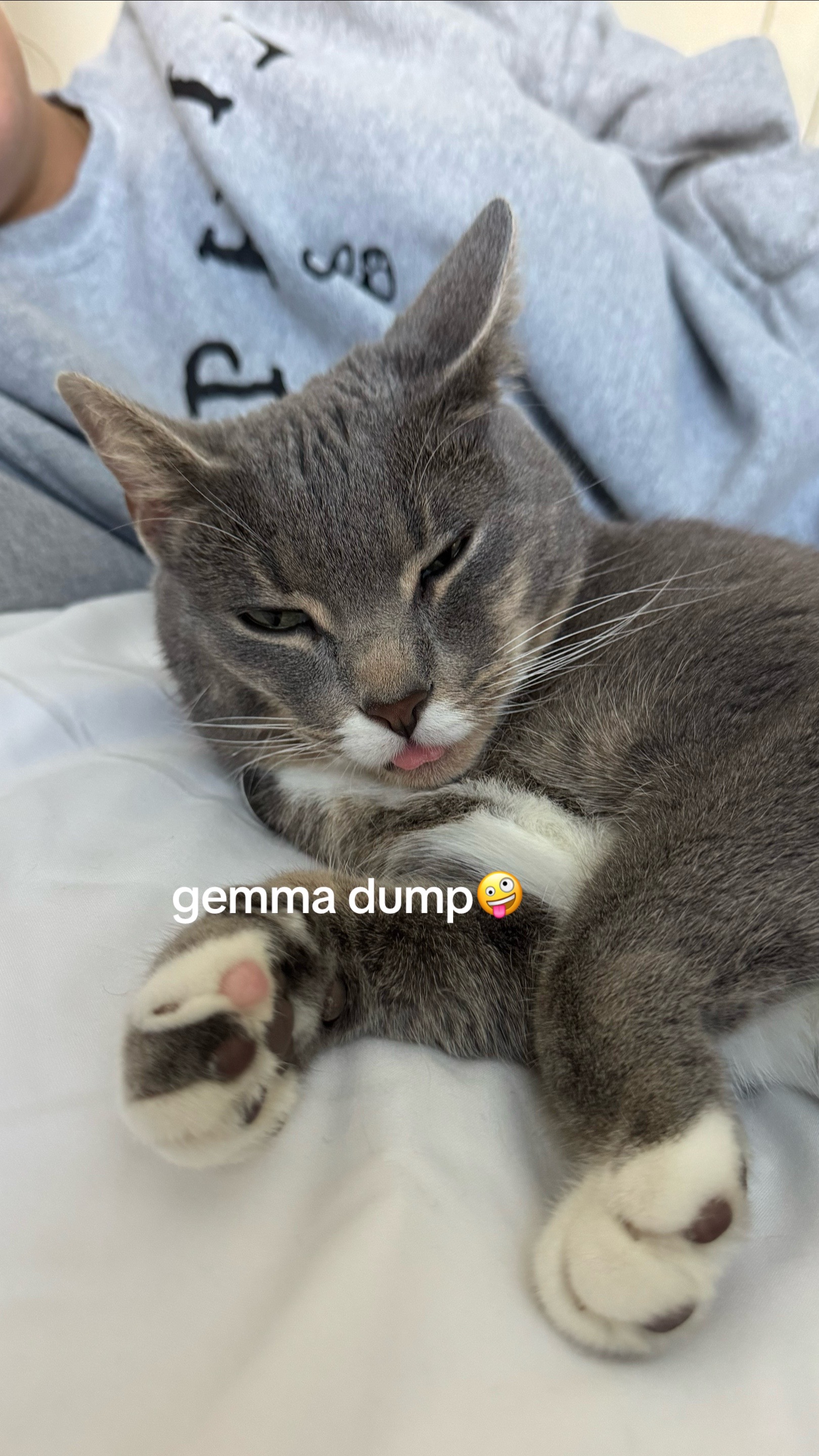 @liuba