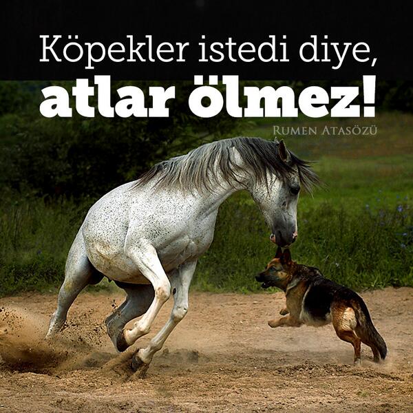 @Varol Coşkun