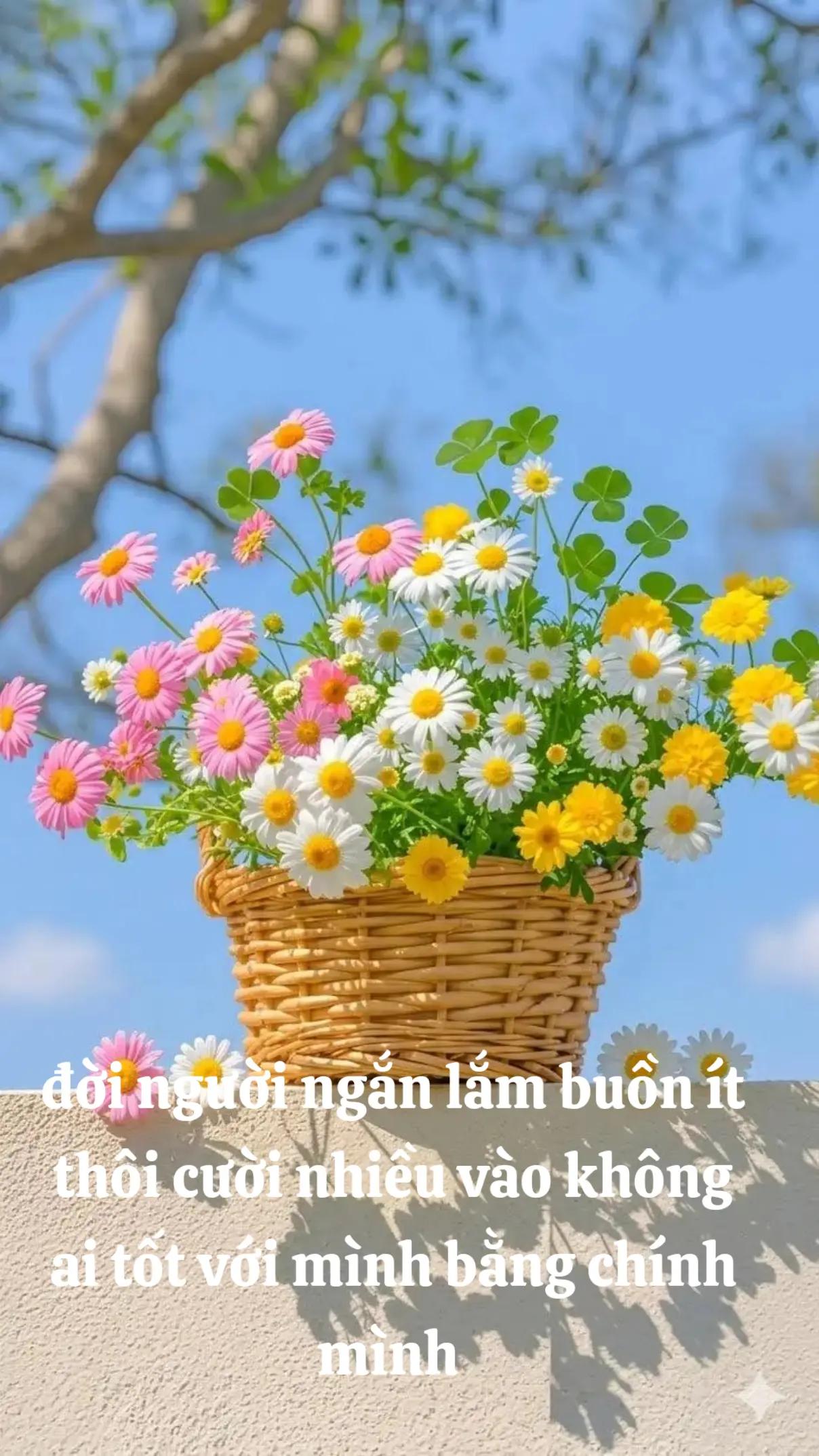 @mạnh H&ugrave;ng