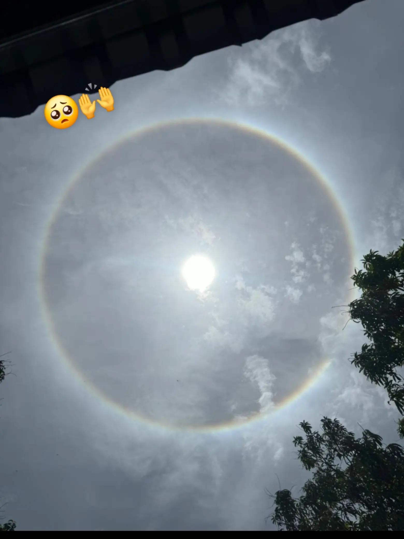 @Adrianaš¦š§š