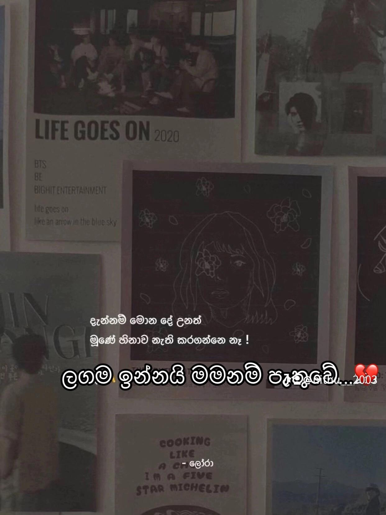 @N 🕊️🥀🍃
