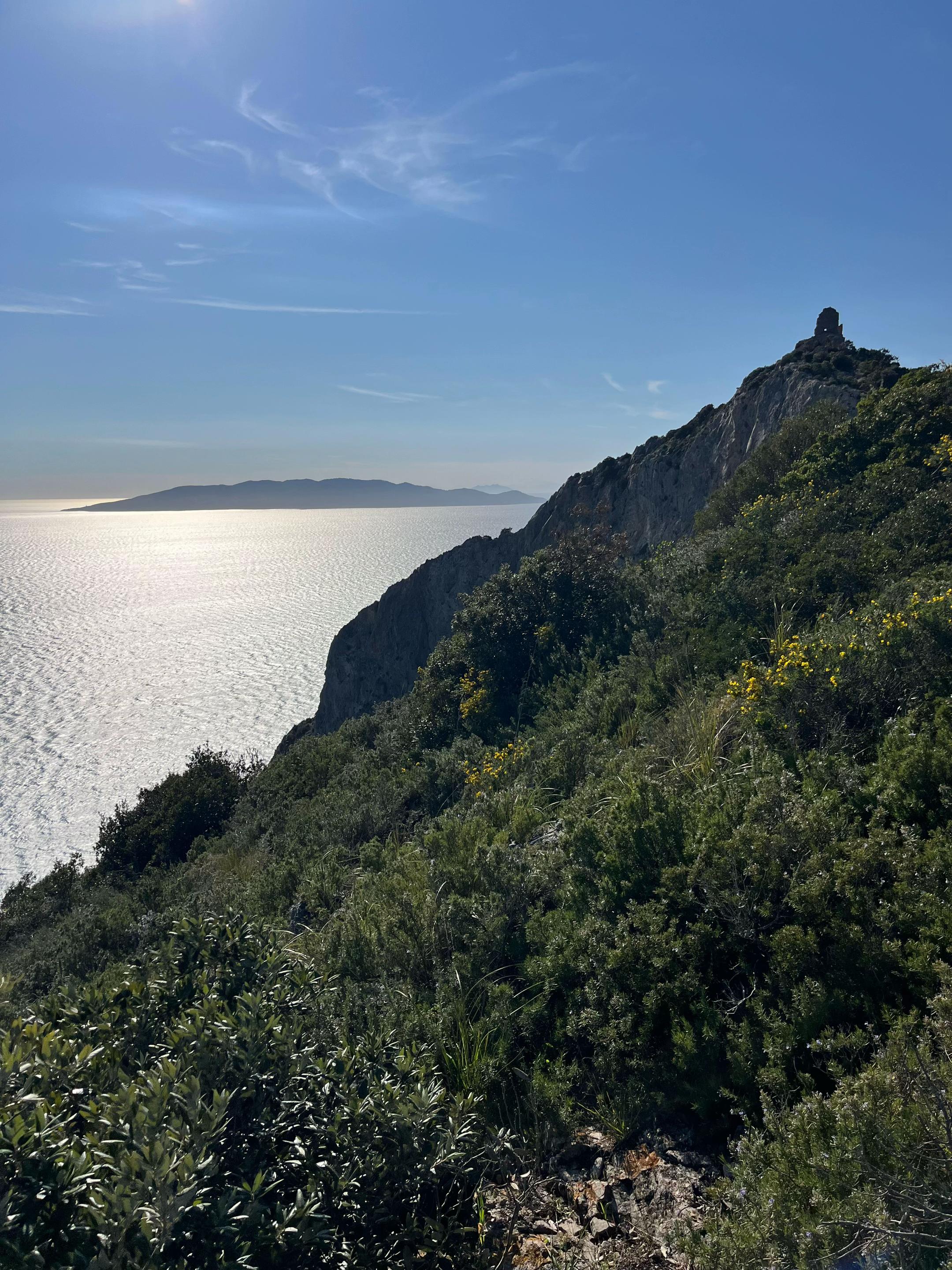 @Maremma Green Passion