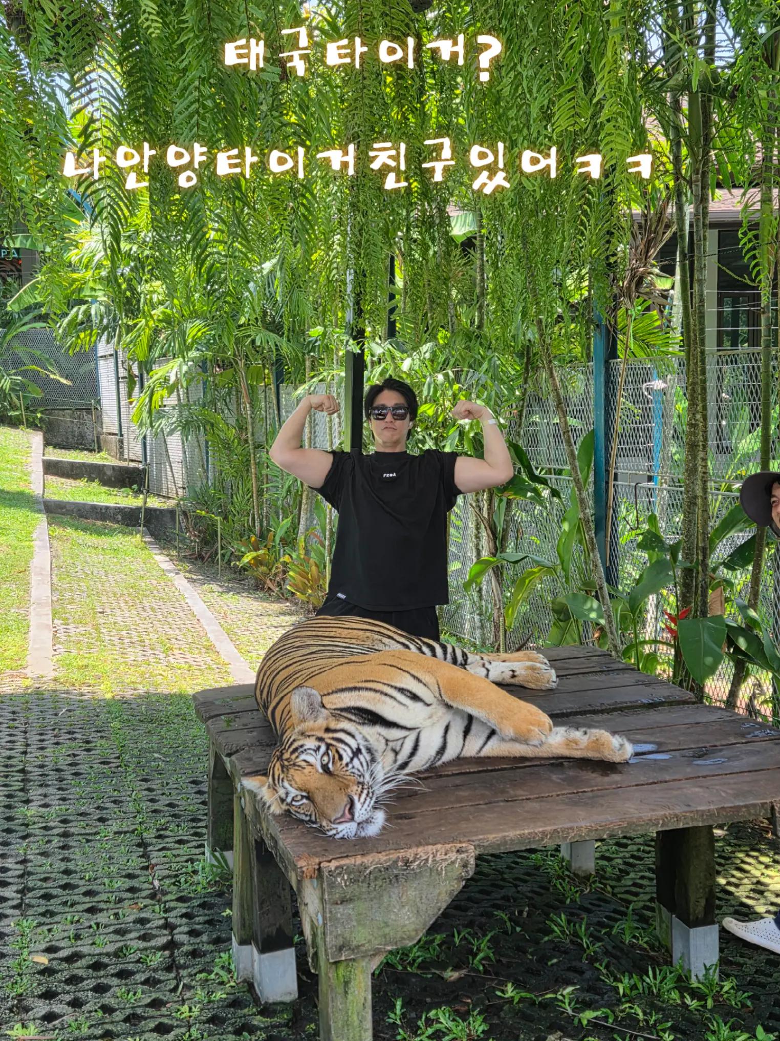 @๐๊ฐ๊ทธ๋งจ์๋ฏผ๐