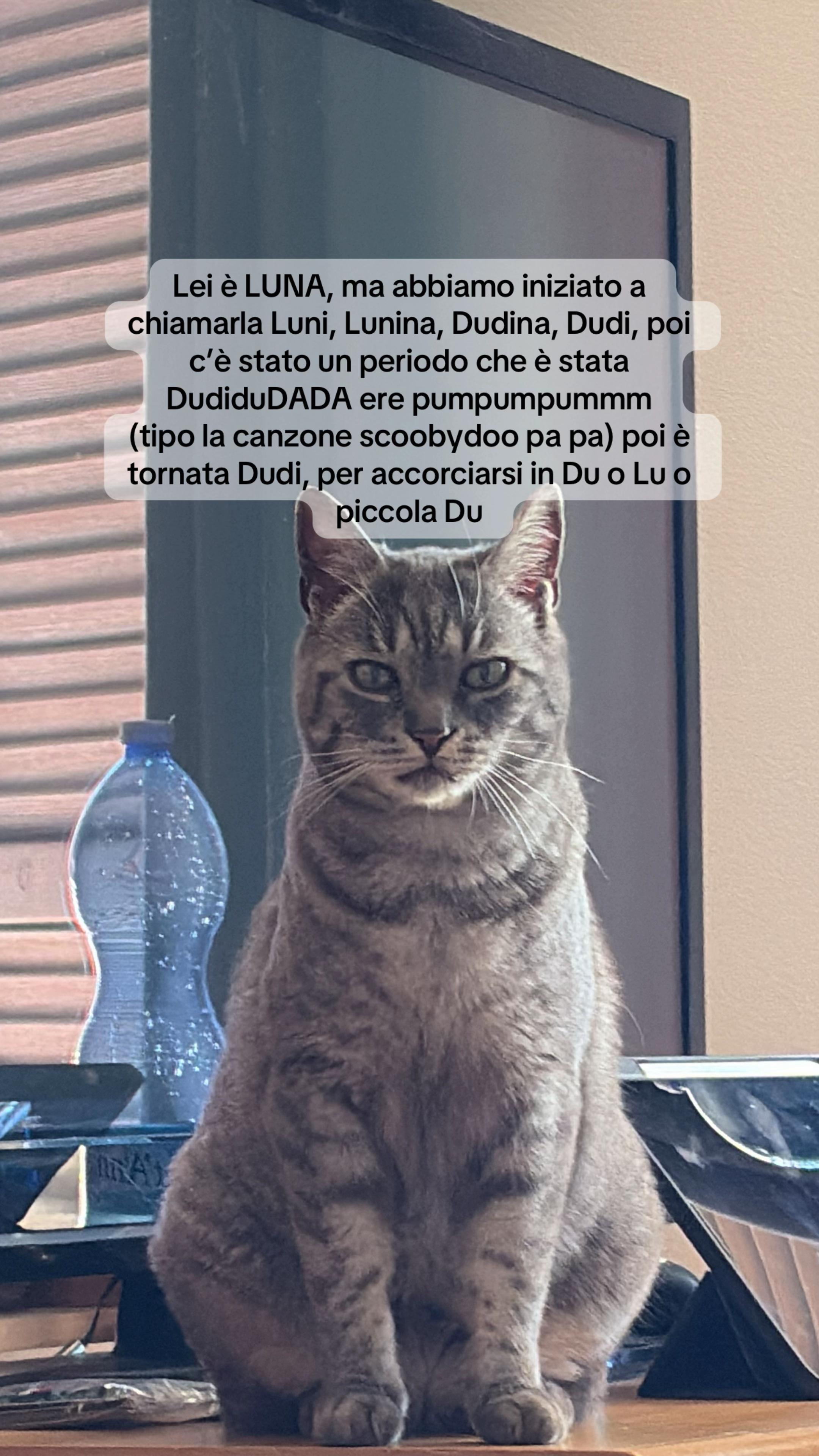 @Elisabetta Scutari