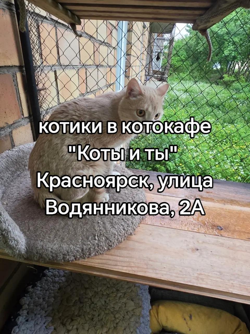 @szlbt