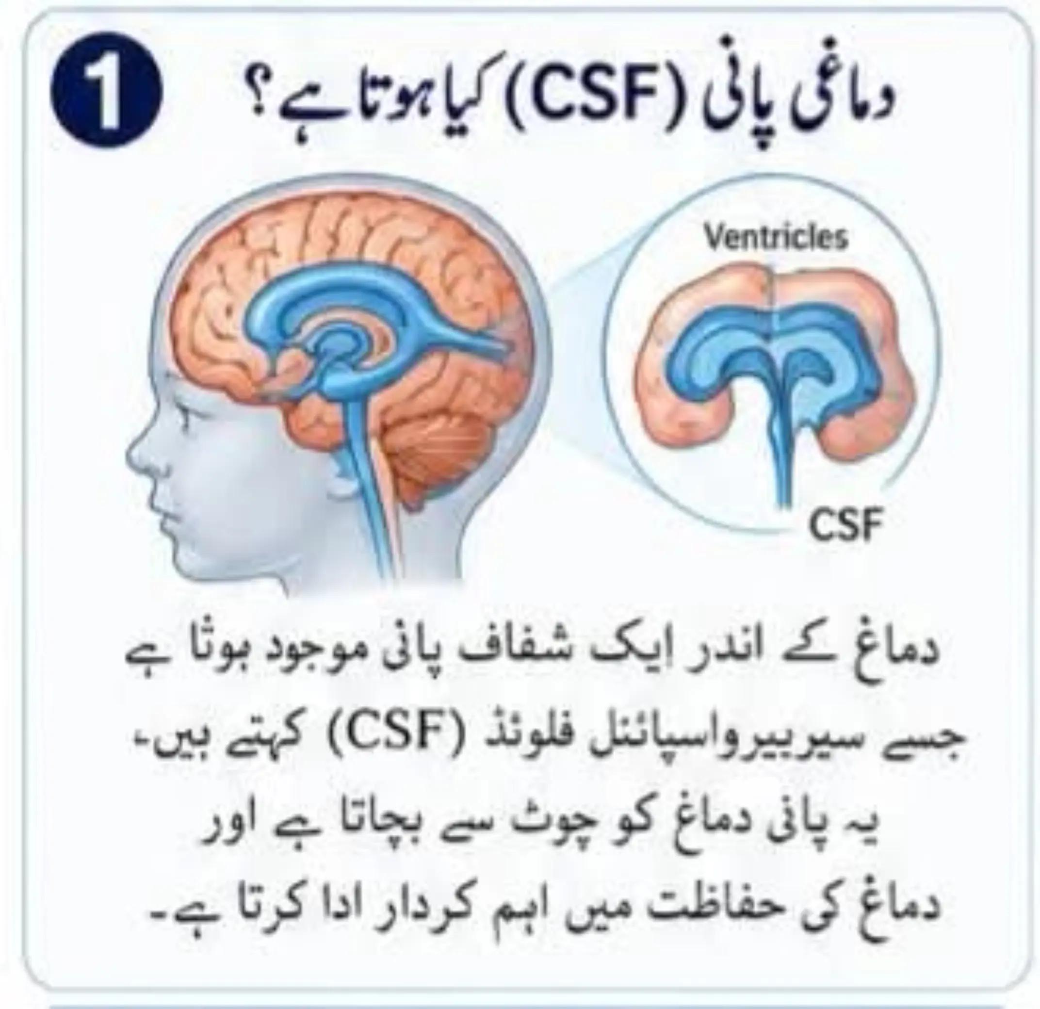 @Dr Arshad Child Neurologist