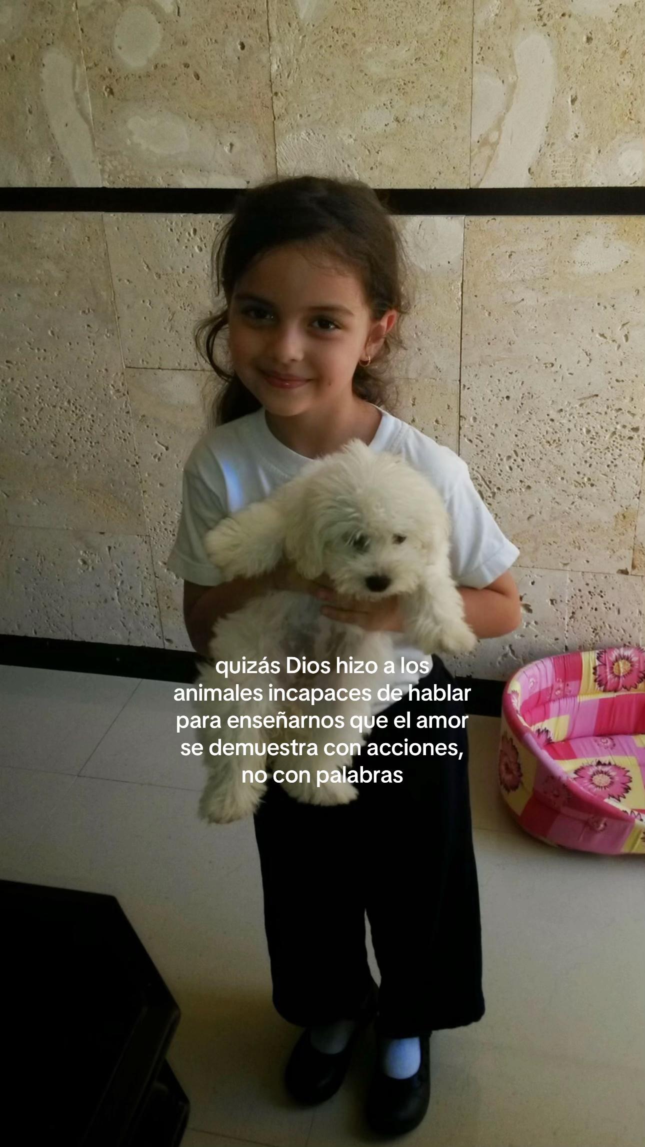 @Ainara Vidal
