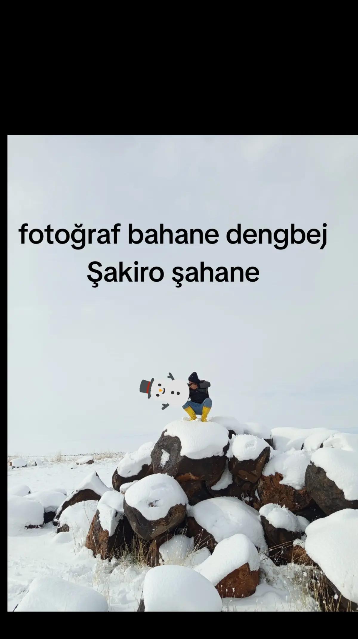 @Nejat Ergin