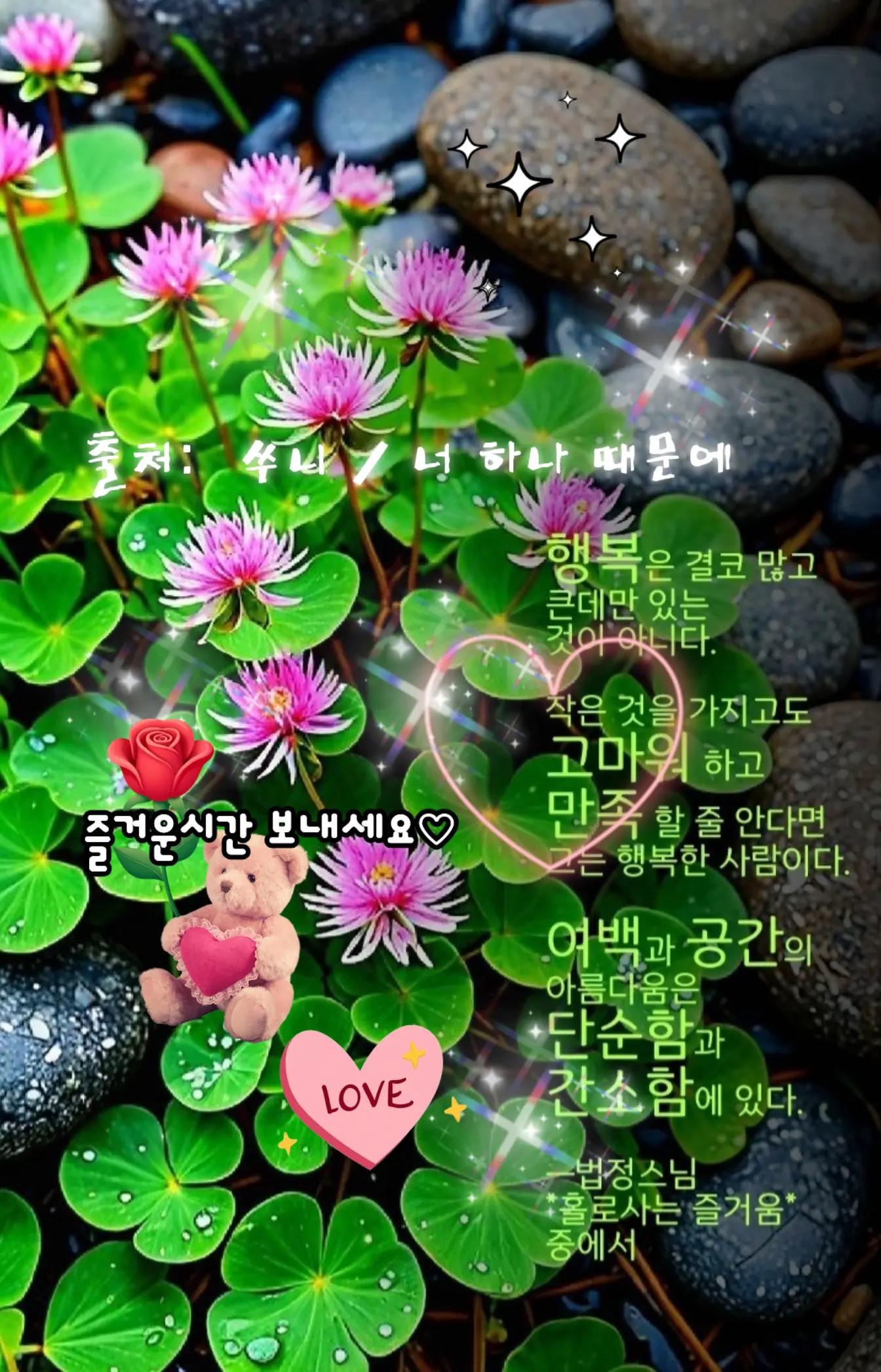 @🇰🇷💙청하🙏하게💙🇰🇷