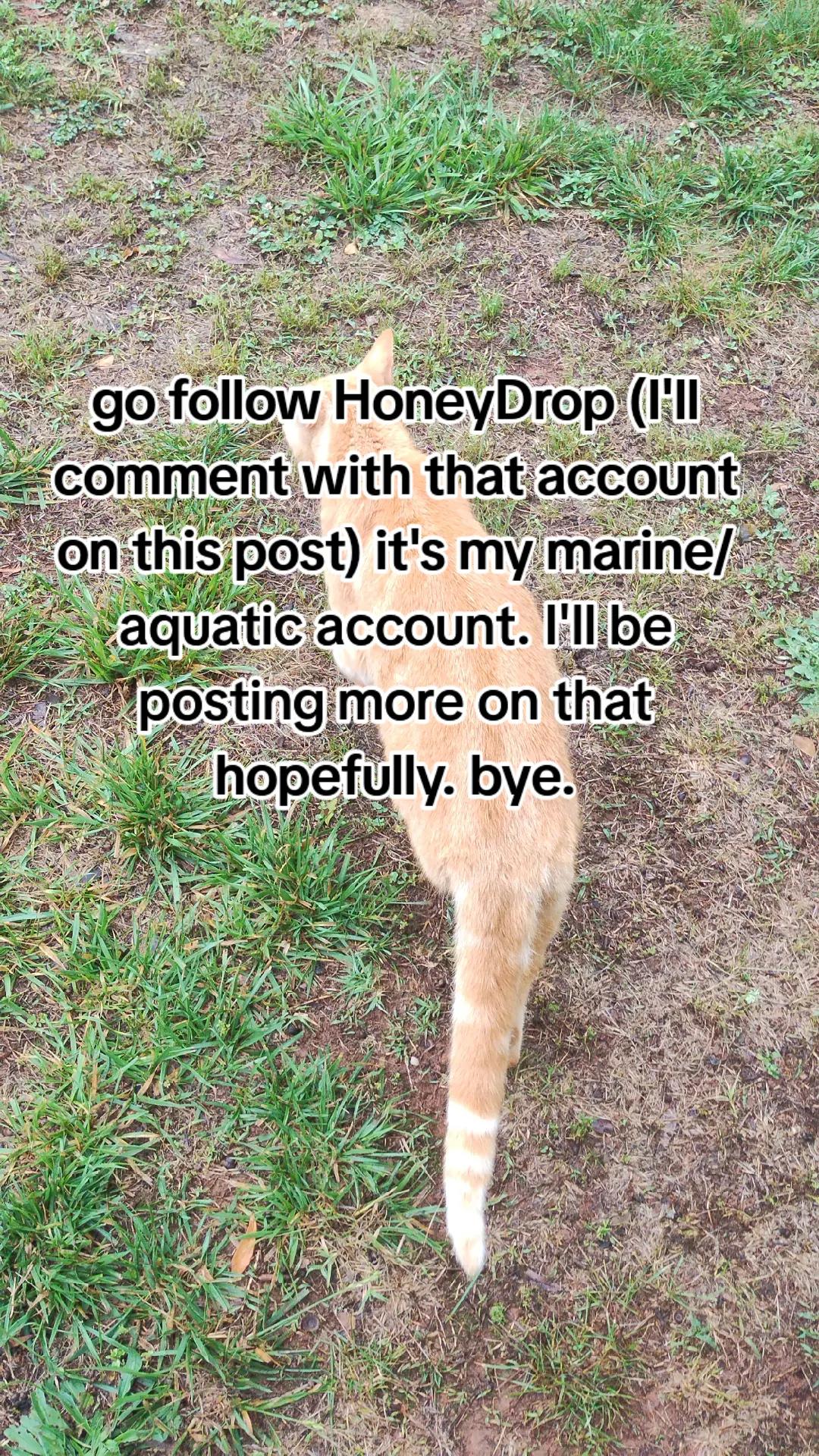 @𝒞𝓁ℴ𝓋ℯ𝓇