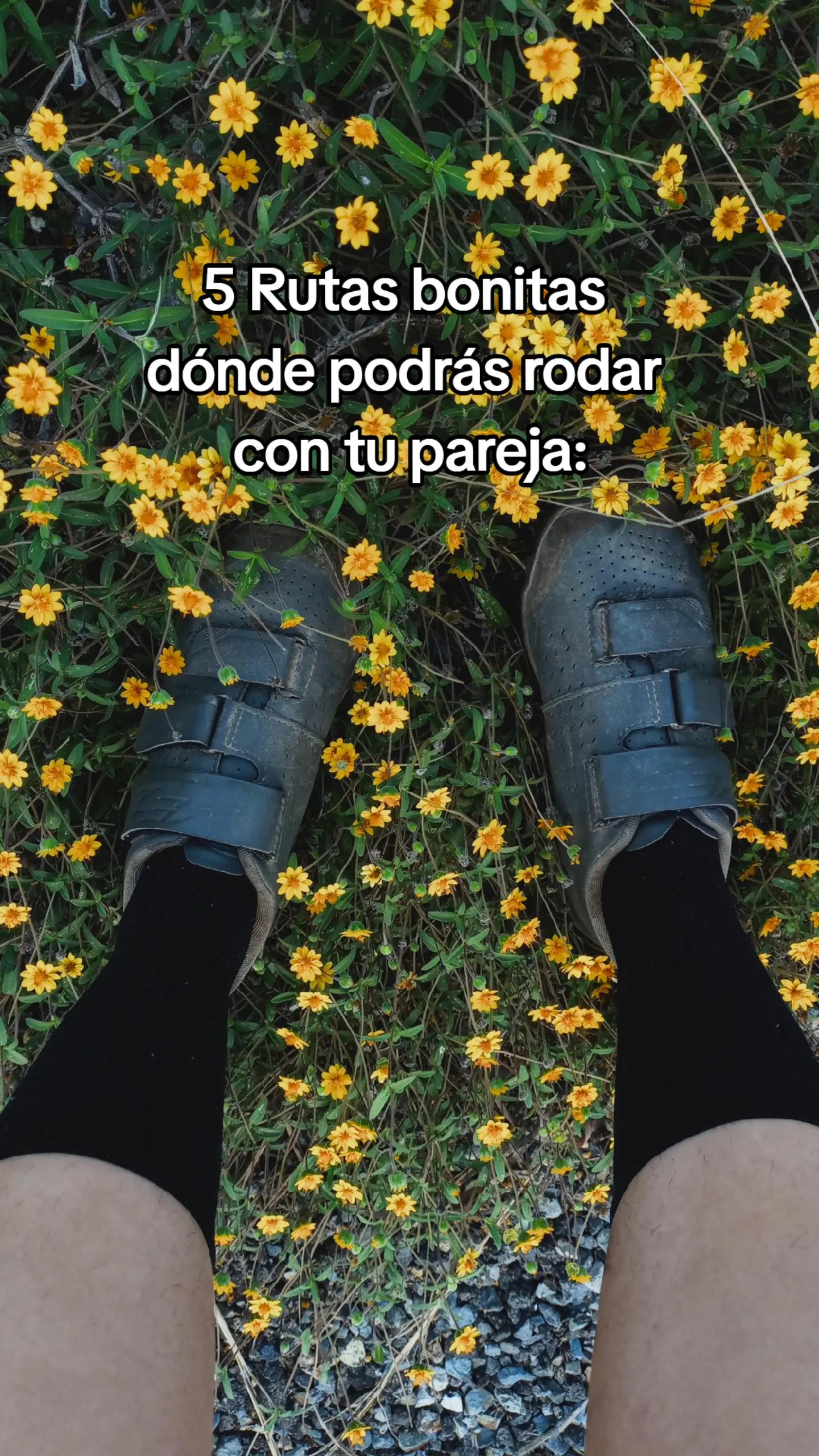 @RosCamarena