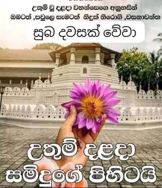 @prasanna