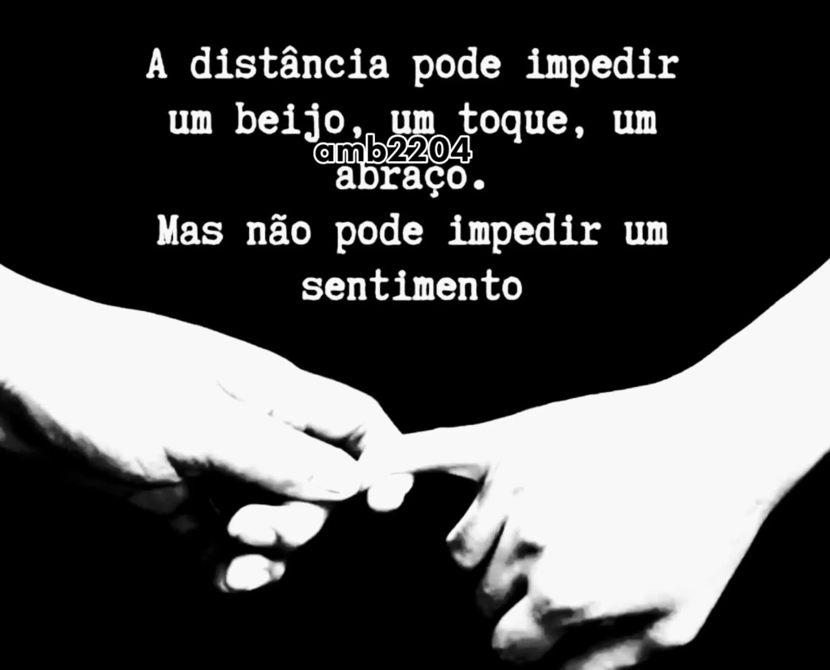 @amb2204