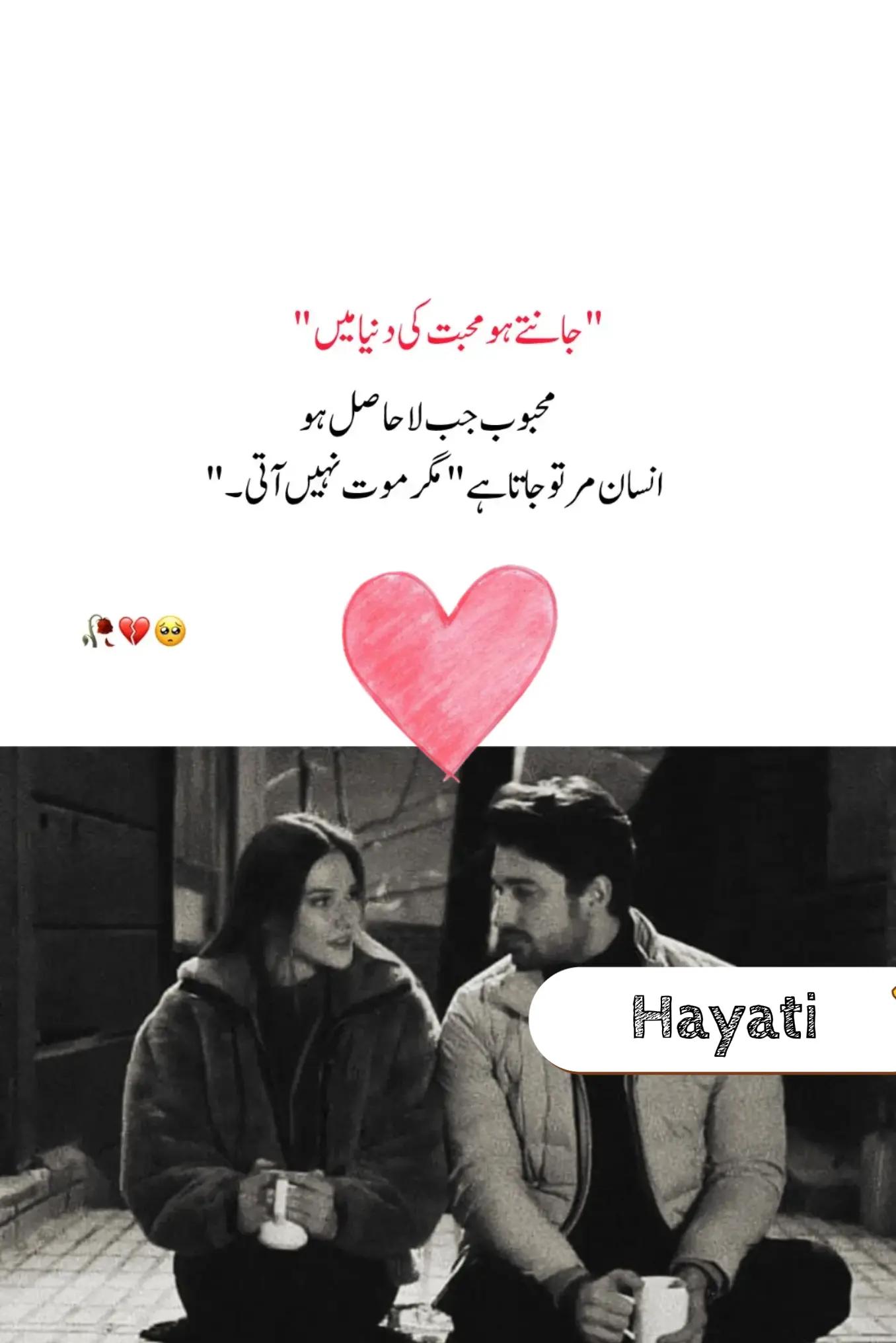 @Umm E Hayat