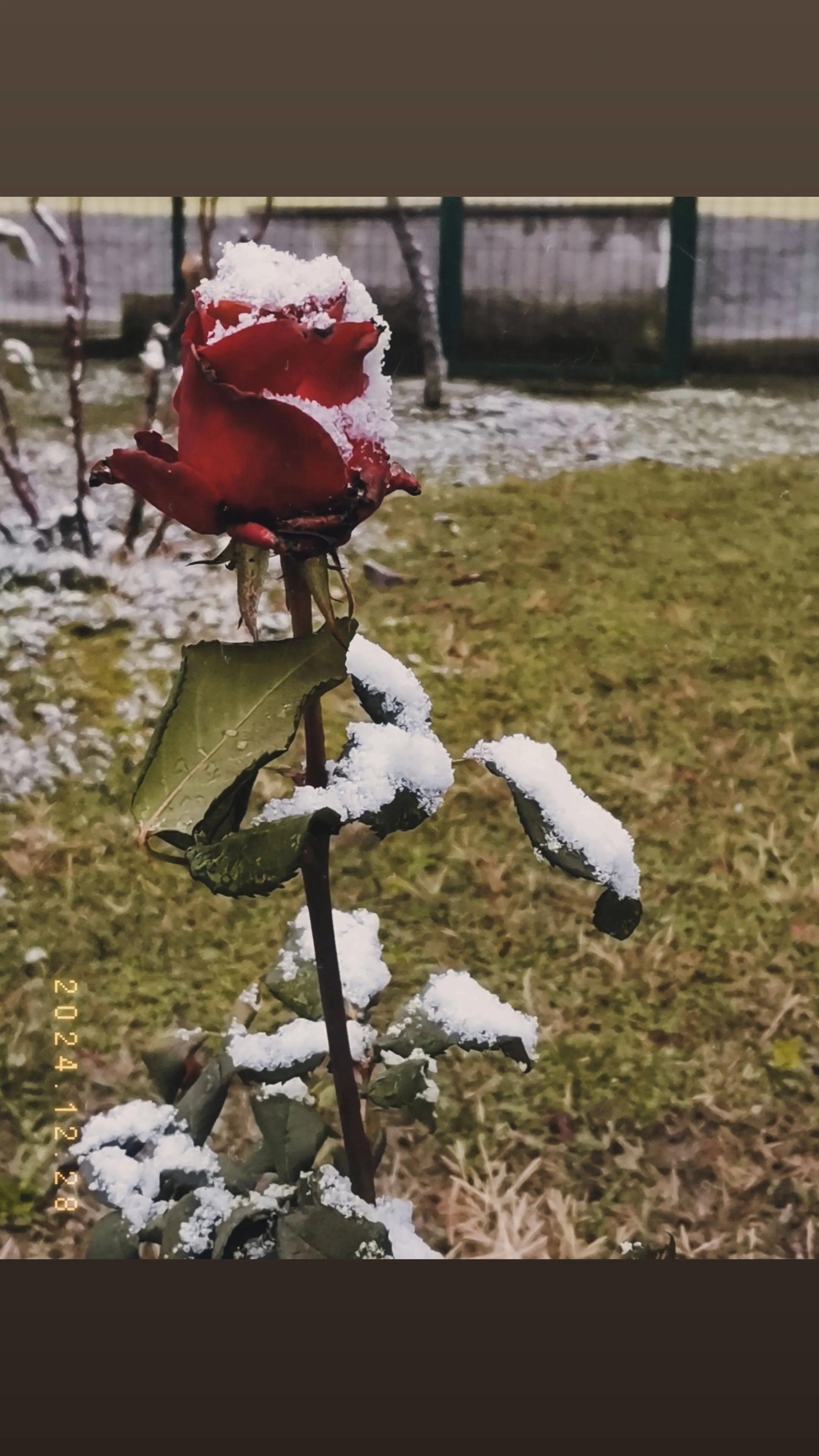 @Mavişş26