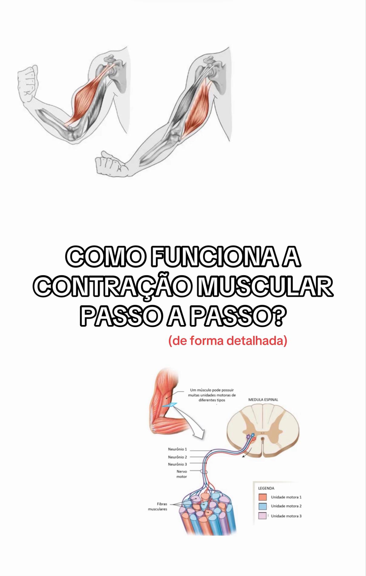@enzoplaster