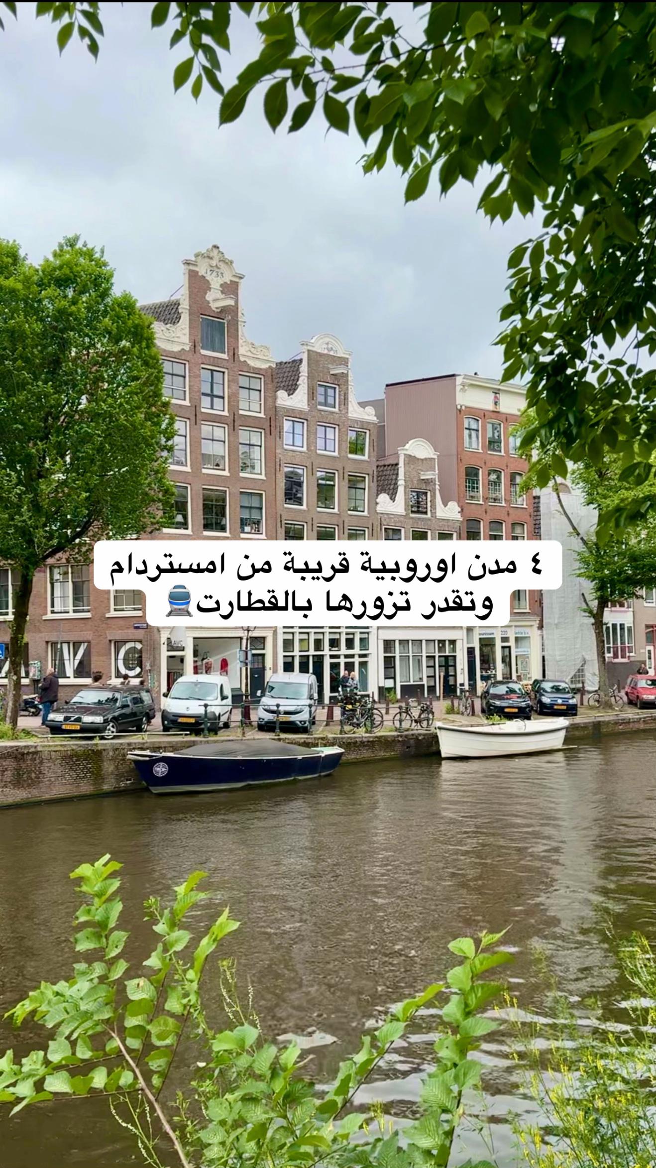 @Amani Alqunfuthi