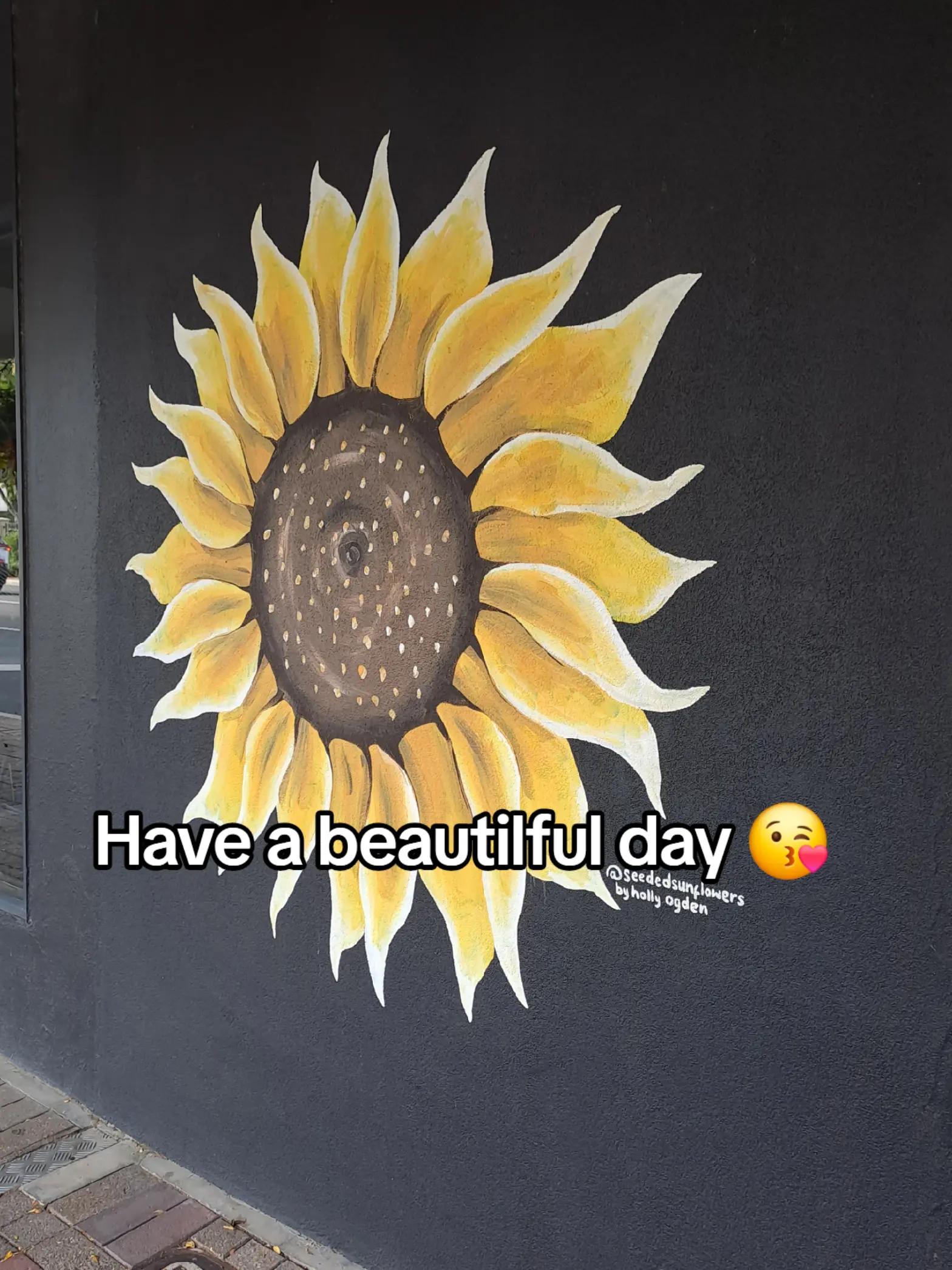 @๐jaq๐๐ฆ๐บ๐ณ๏ธ๐