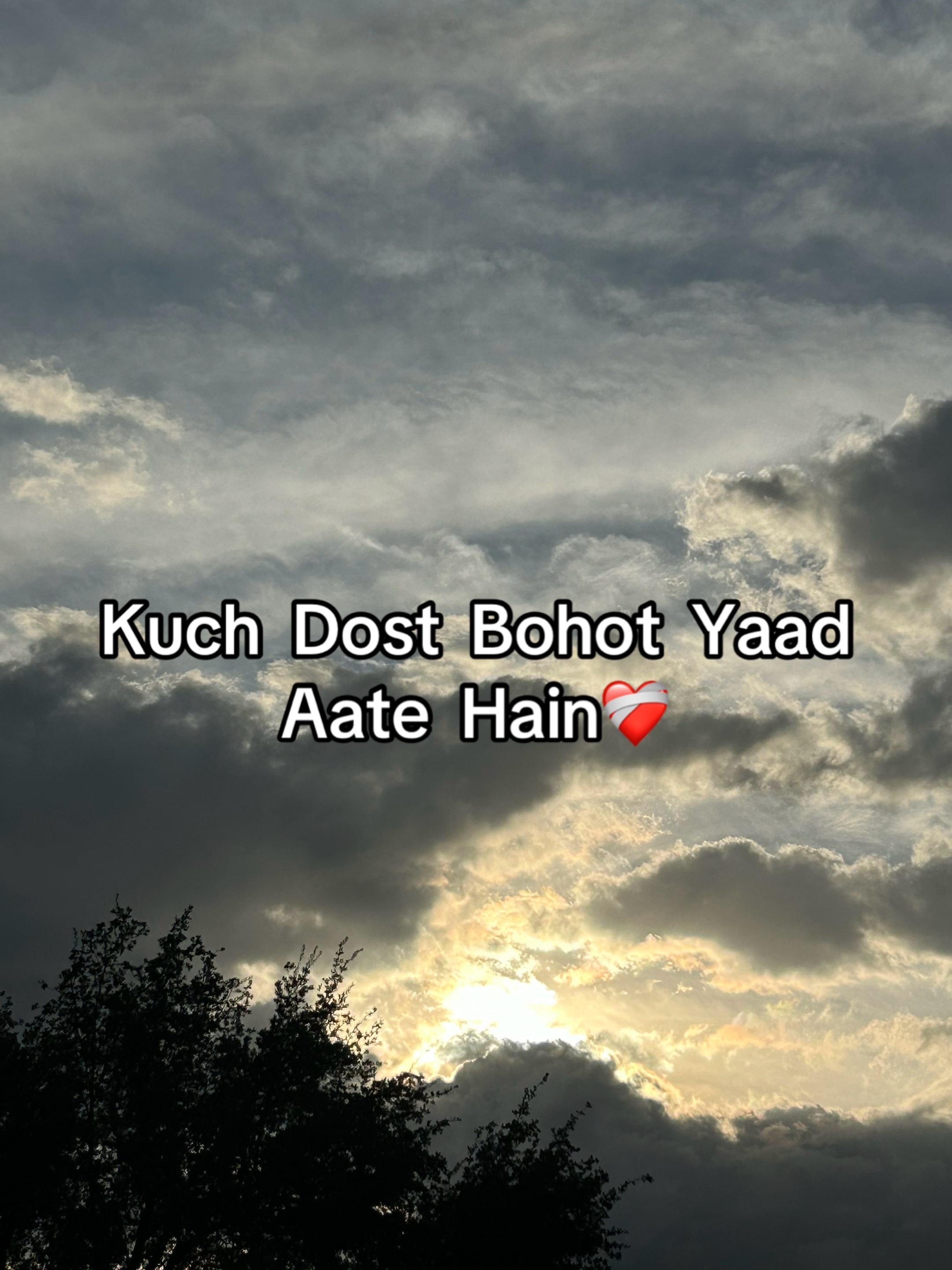 @ZaraHayat020104