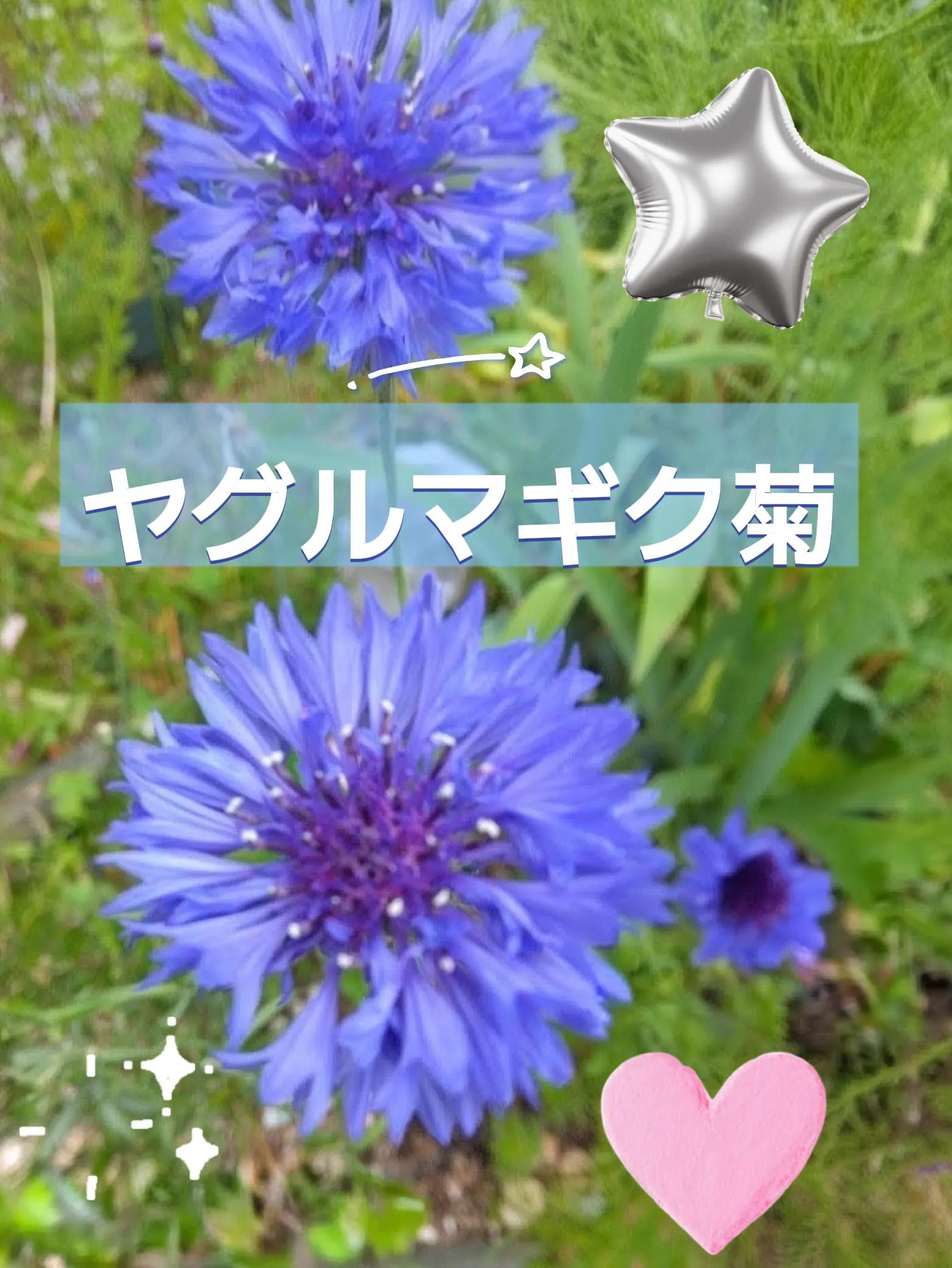 @TERU