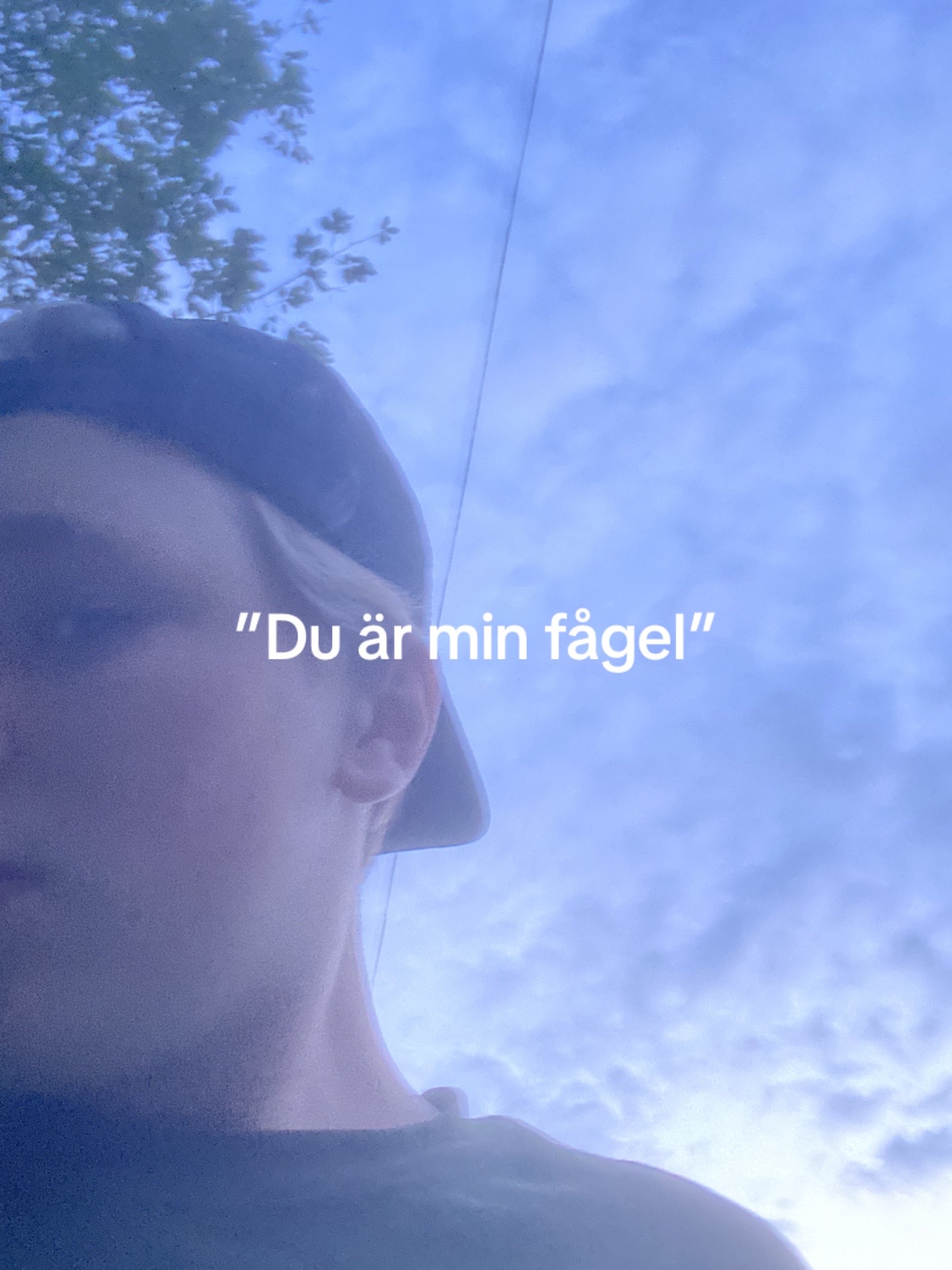 @Farliga fläsket