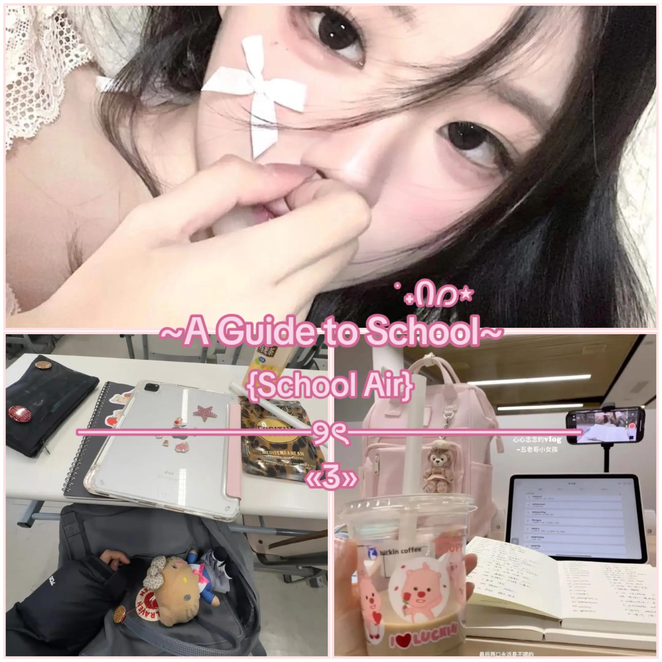 @ৎ ˚.𝐖𝐨𝐧𝐲 ⋆˙𑣲