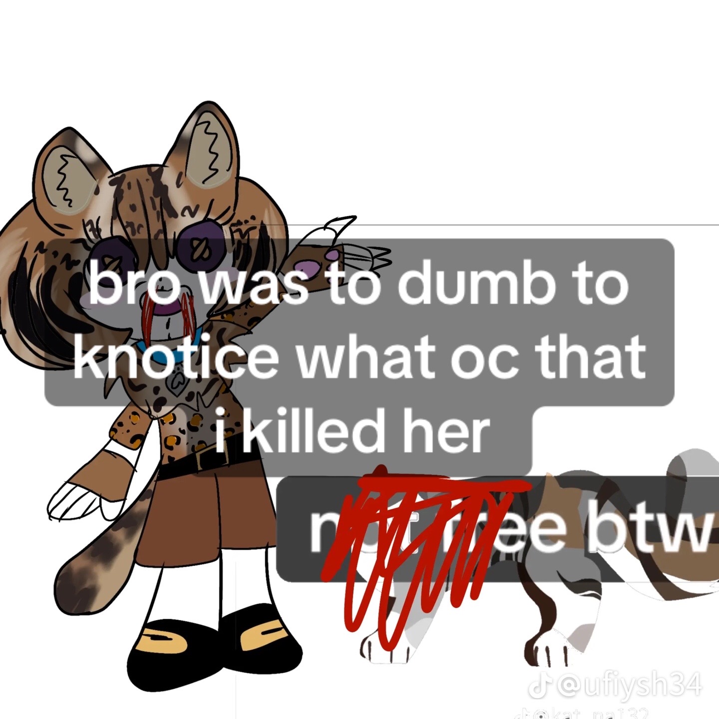 @hien the wolf!⚡️⭐️🍀
