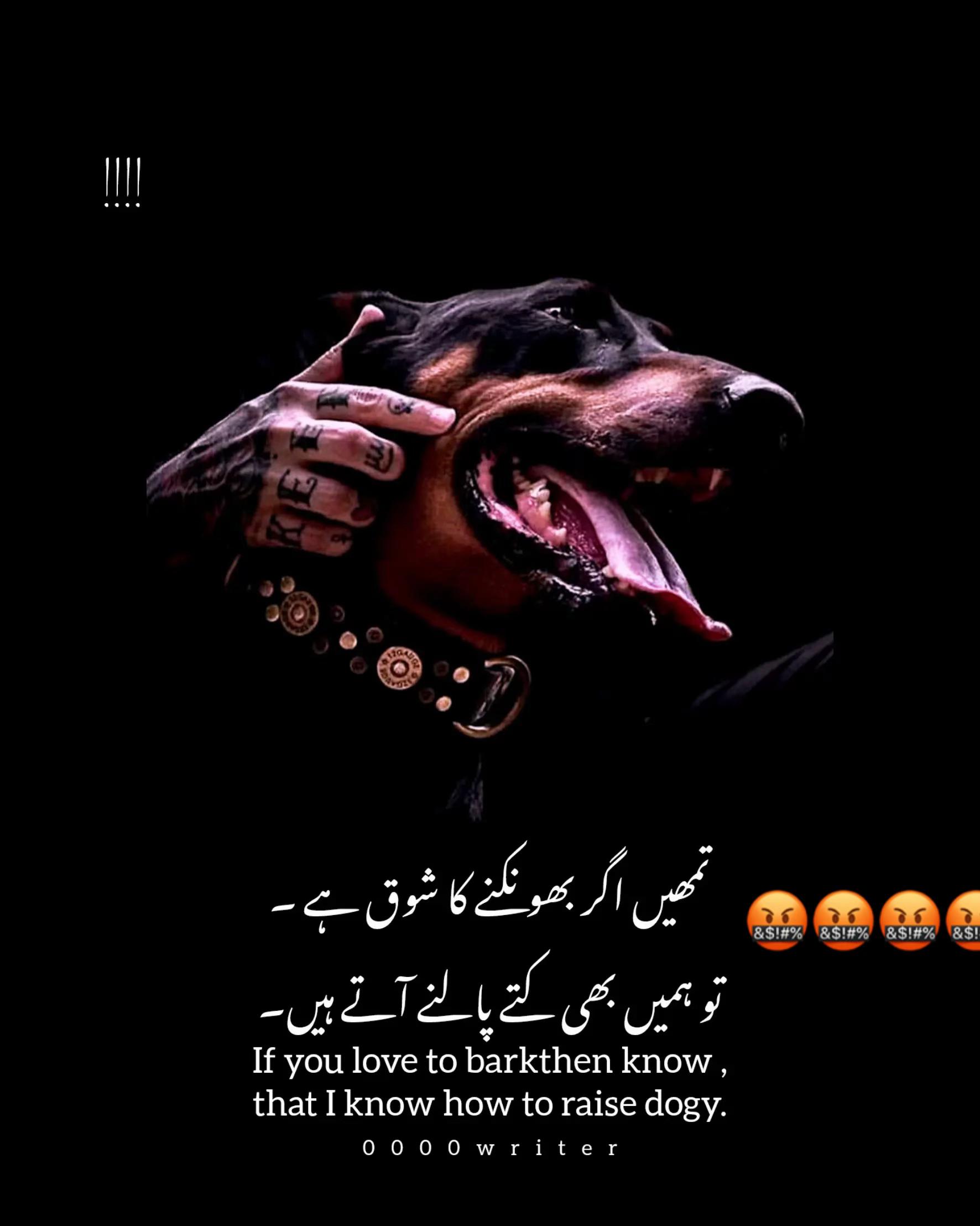 @🤫usama_officcial💸