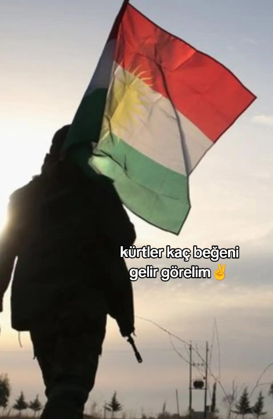@🤍72sinem72🤍
