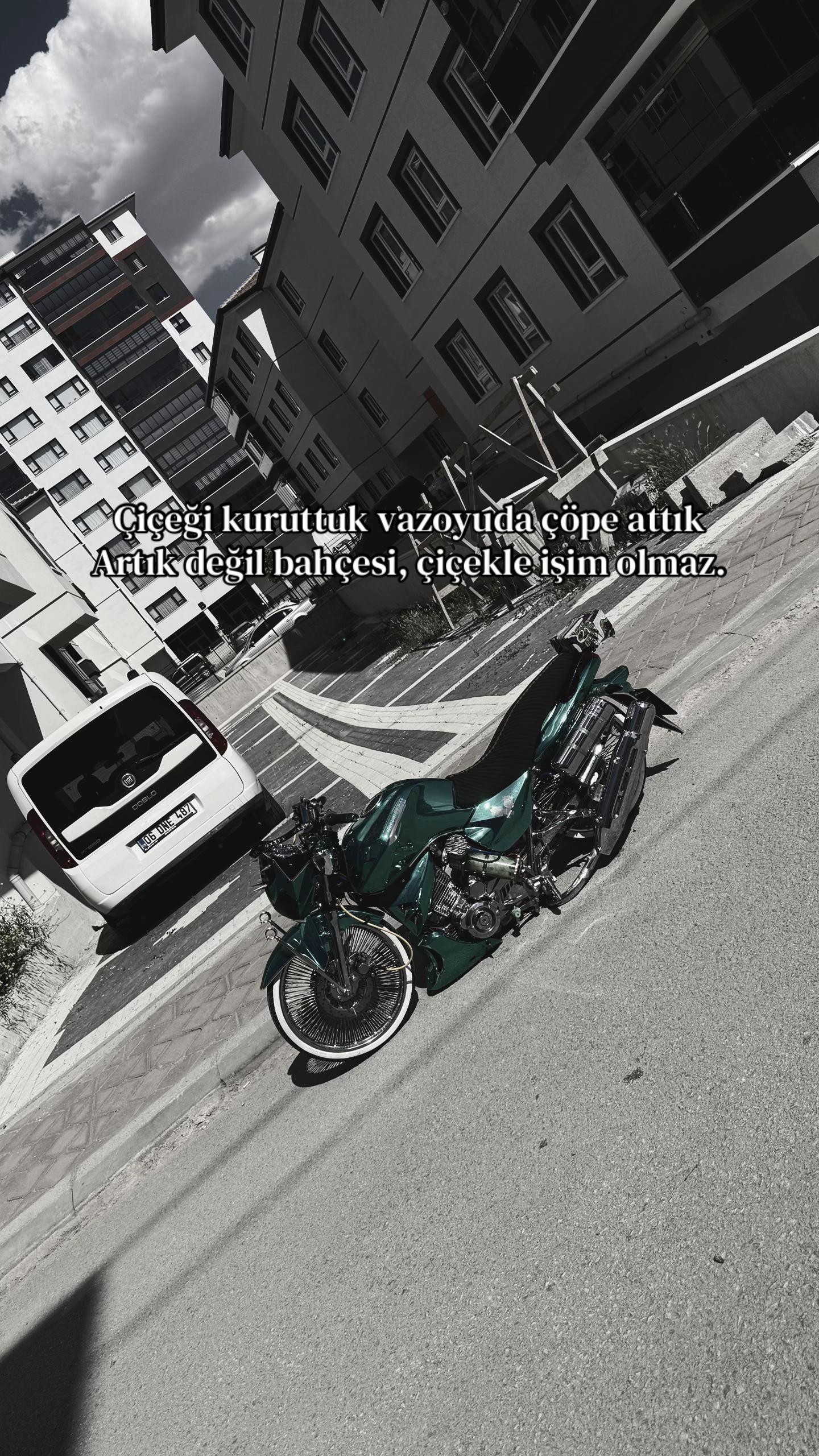 @𝙱𝙴𝚁𝙺𝙰𝚈𝚆𝙻𝚂 𝙲𝙰𝙽ッ