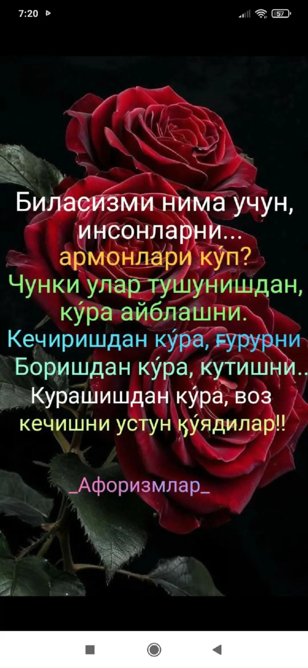 @ЗЕБО 24